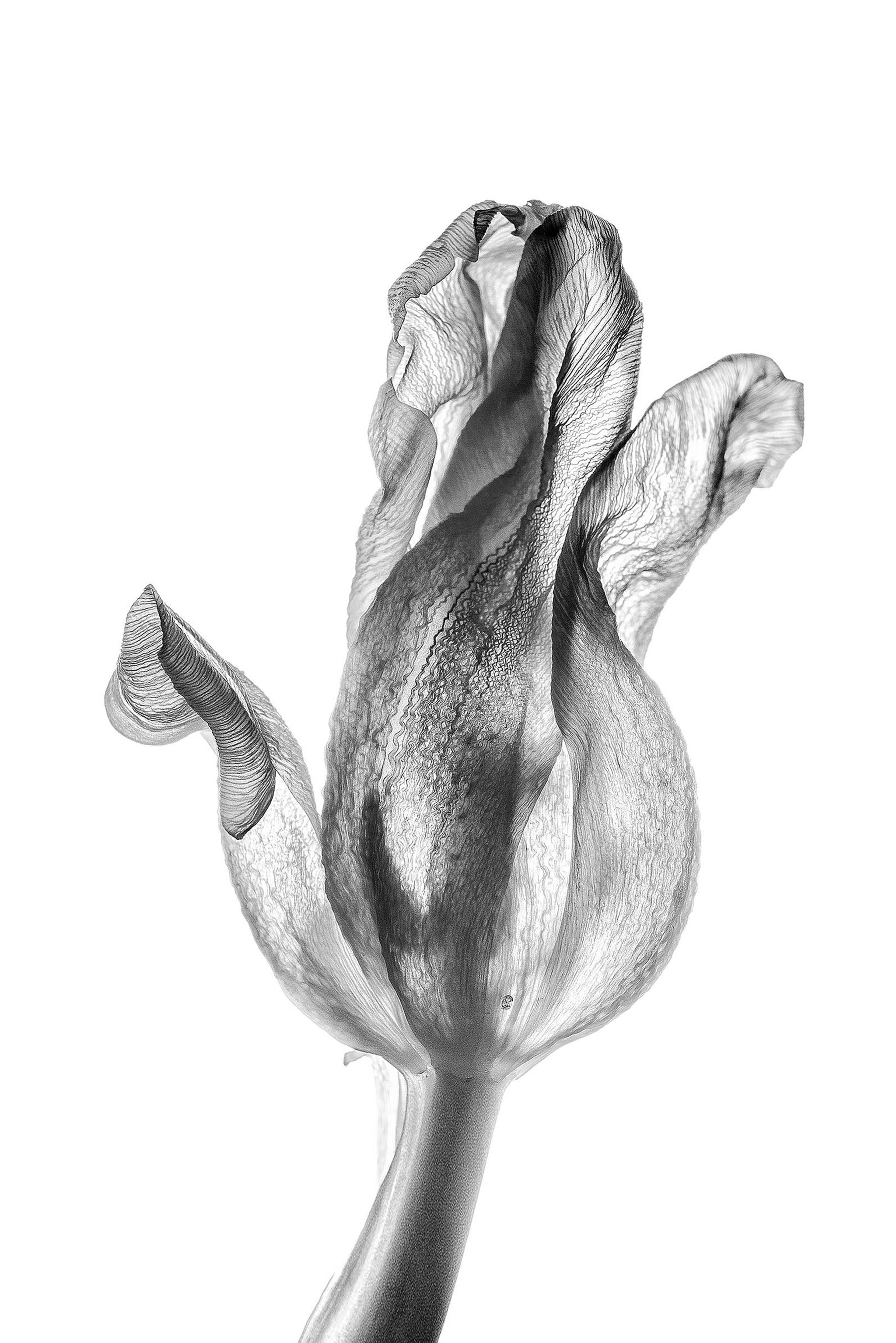 Фотограф Юлия Глазкова