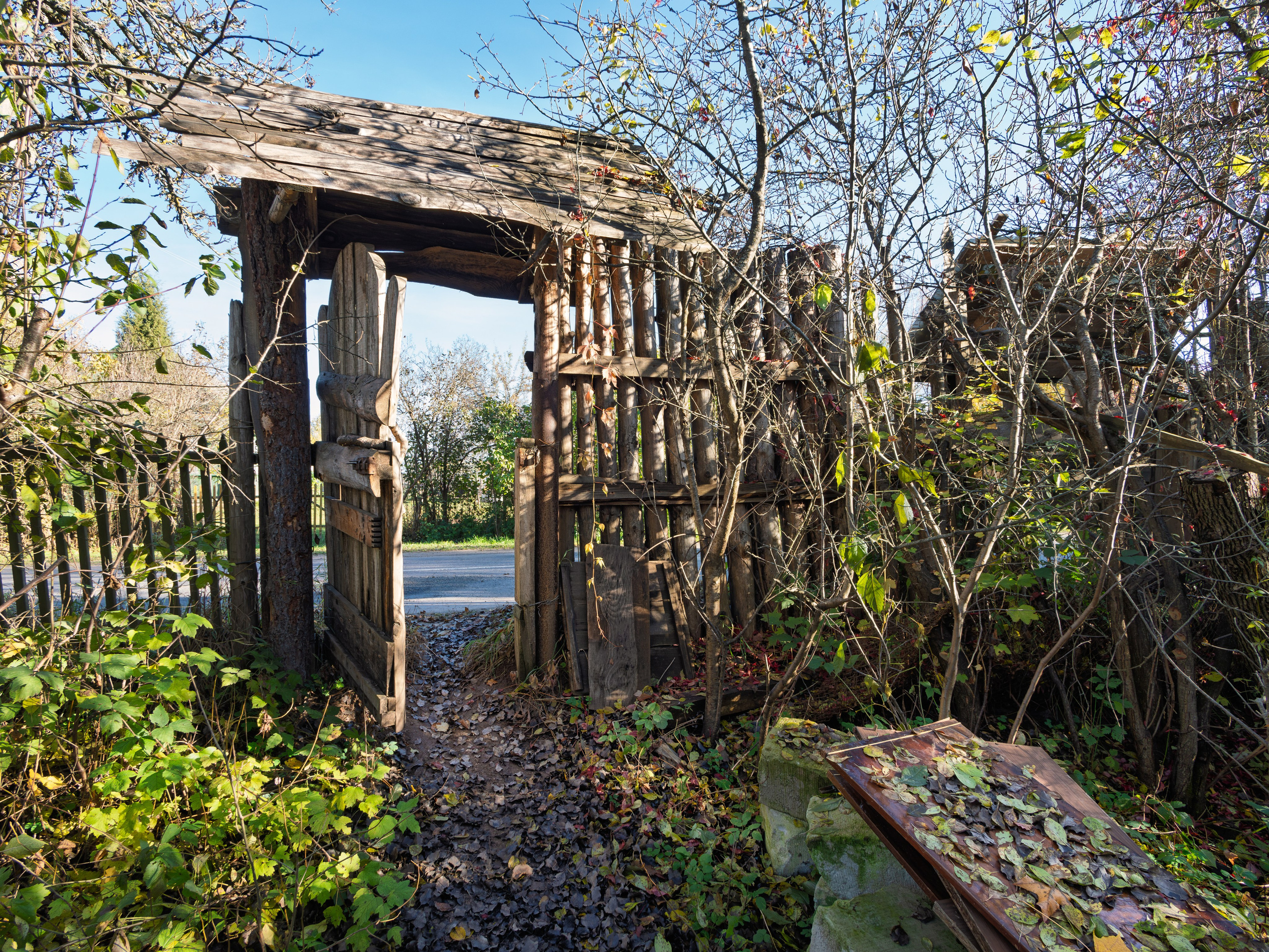 Голубые озера, Псковская область. Октябрь 2024. Фотограф Никифоров-Гордеев Сергей. Москва и МО