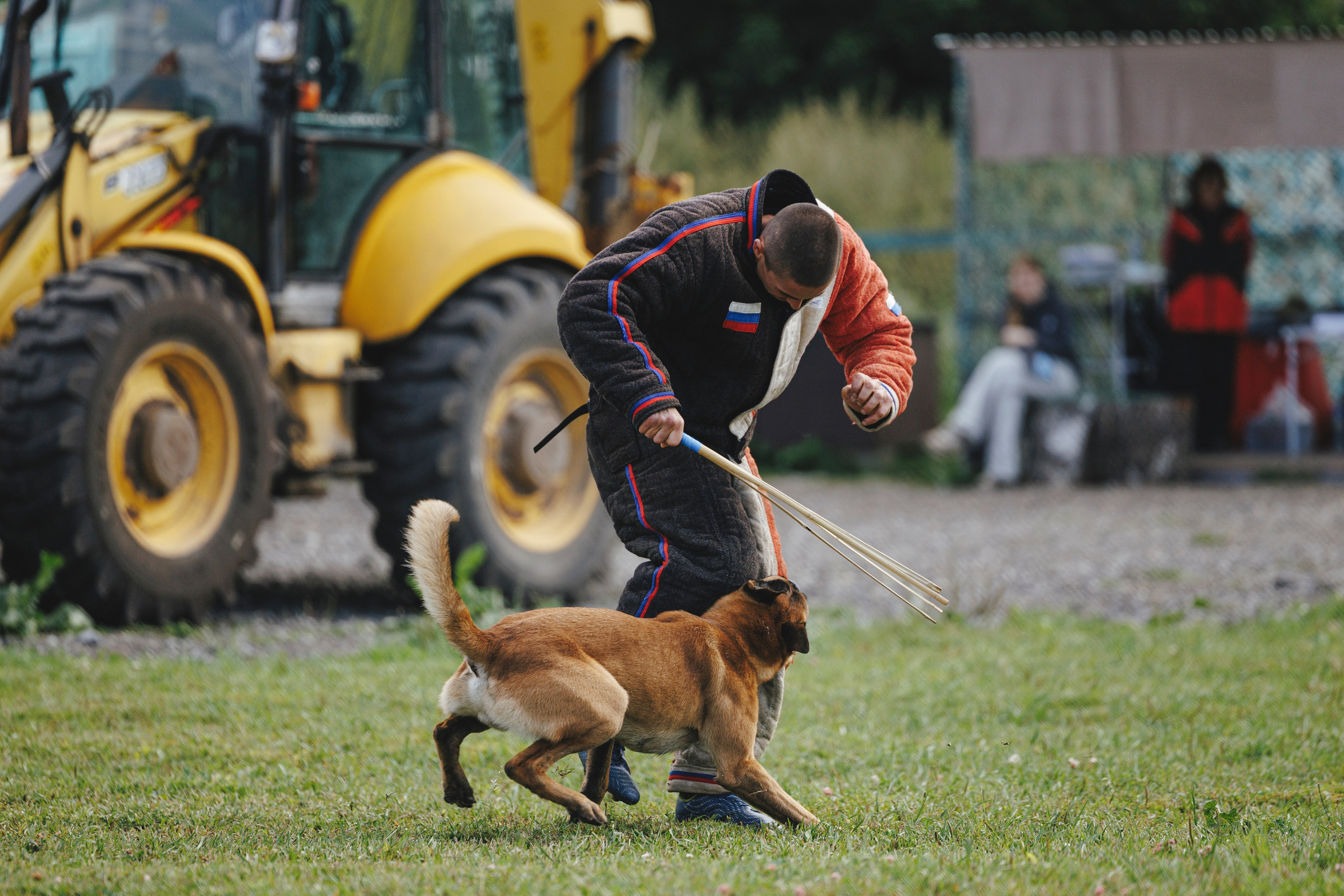 08.08.25-10.08.25 ЧР по мондьорингу г. Вологда. Фотограф-анималист Анна Маринич