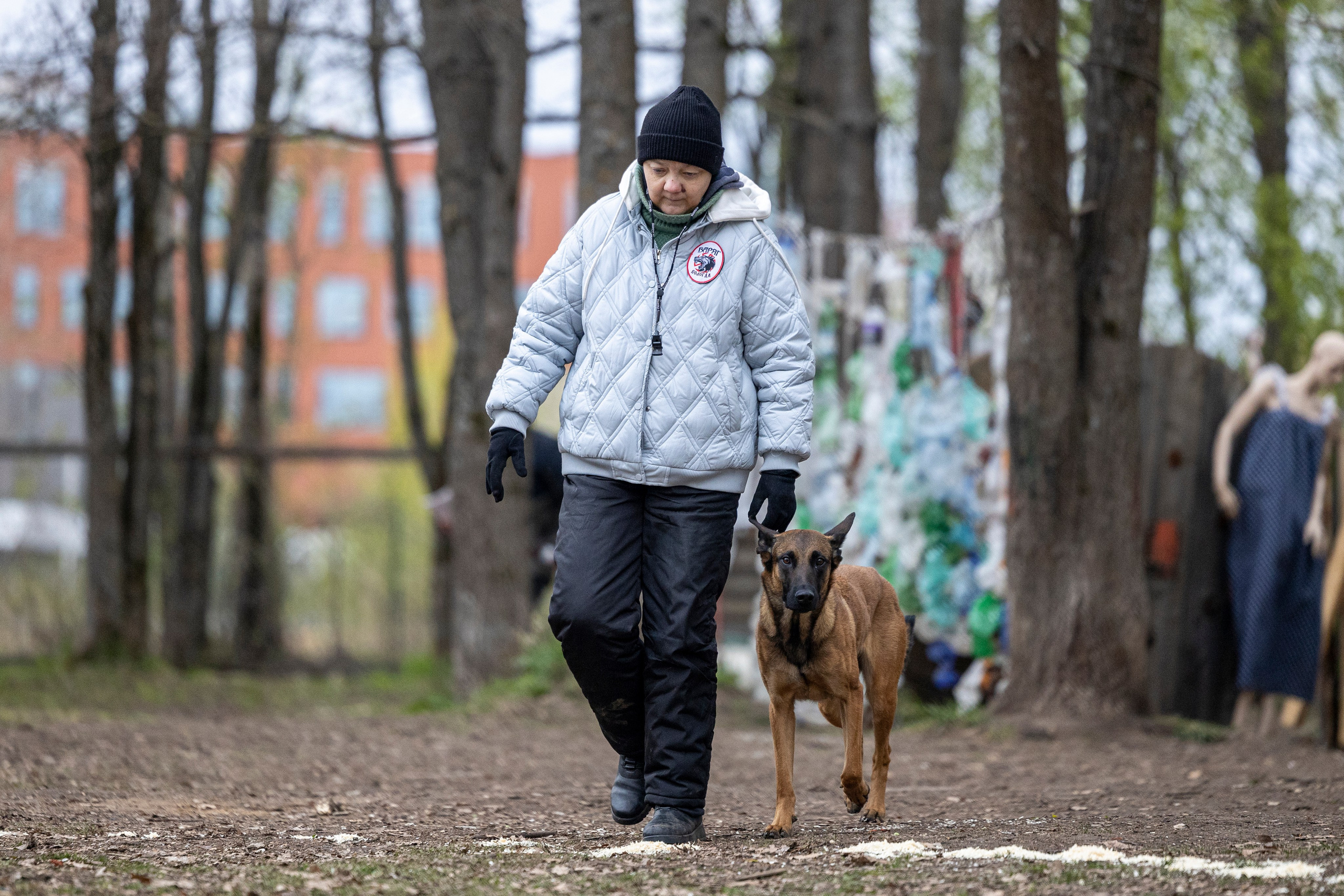 Квалификационные состязания по мондьорингу г. Вологда 11.05.24. Фотограф-анималист Анна Маринич