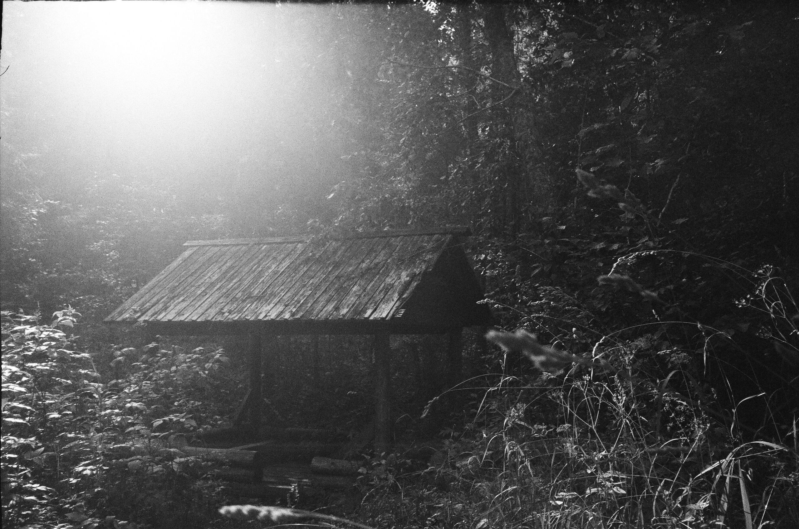 Summer in S. Pavlov Arts