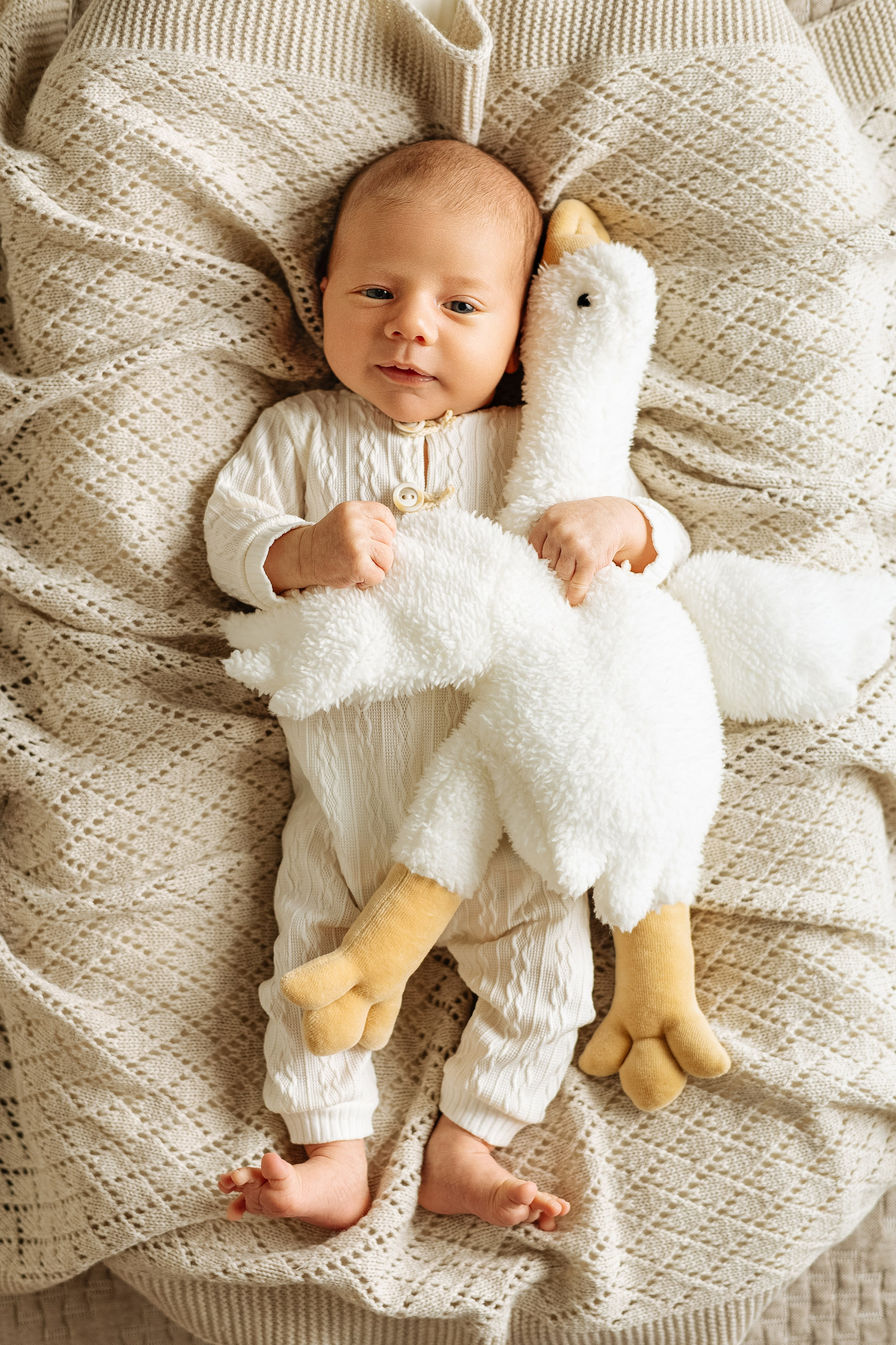 Сергей 23 дня. Фотограф новорожденных в Санкт-Петербурге Екатерина Иванова