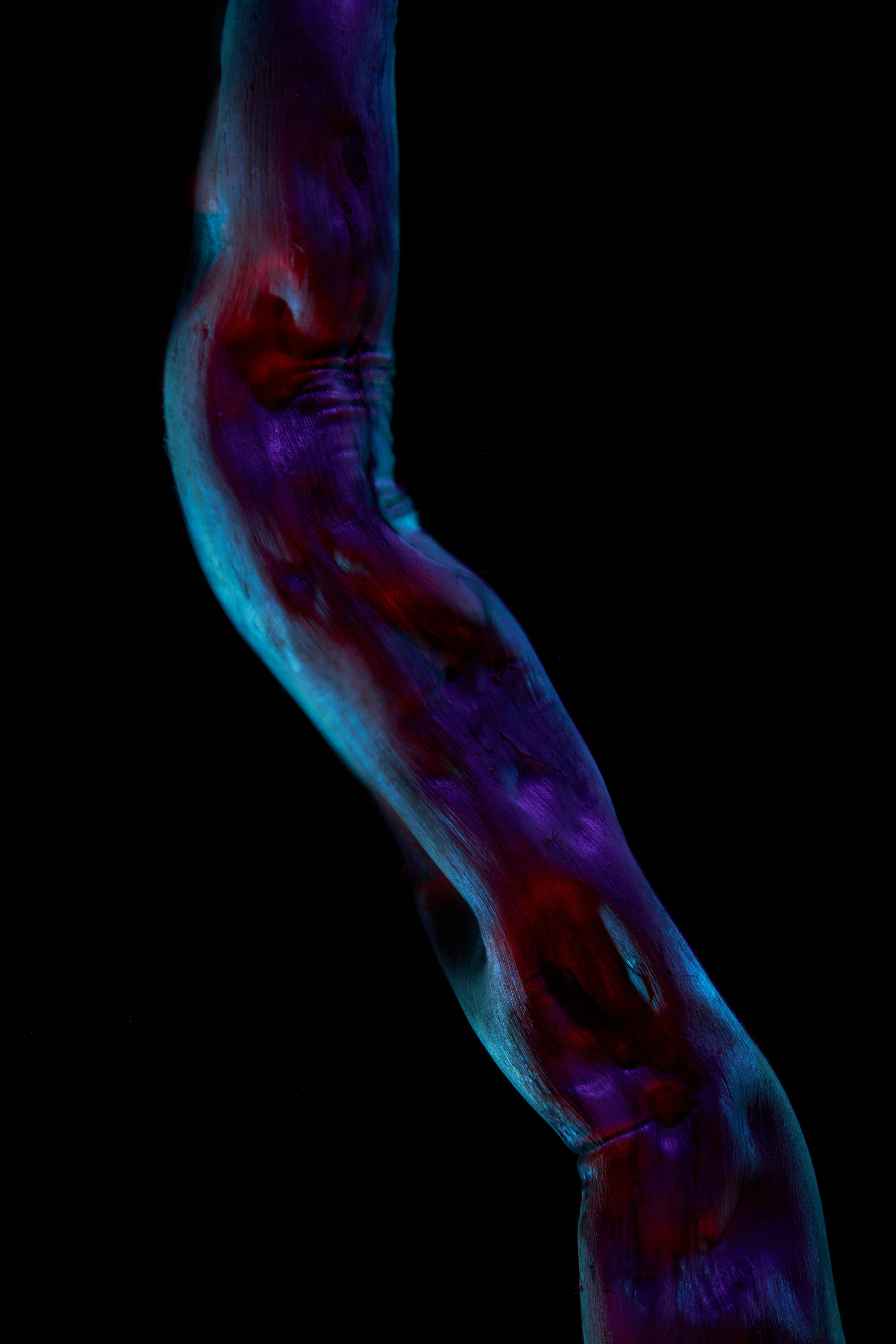 «Красок Тьма Полна». Арт-фотограф во Владивостоке Дмитрий Осипчук