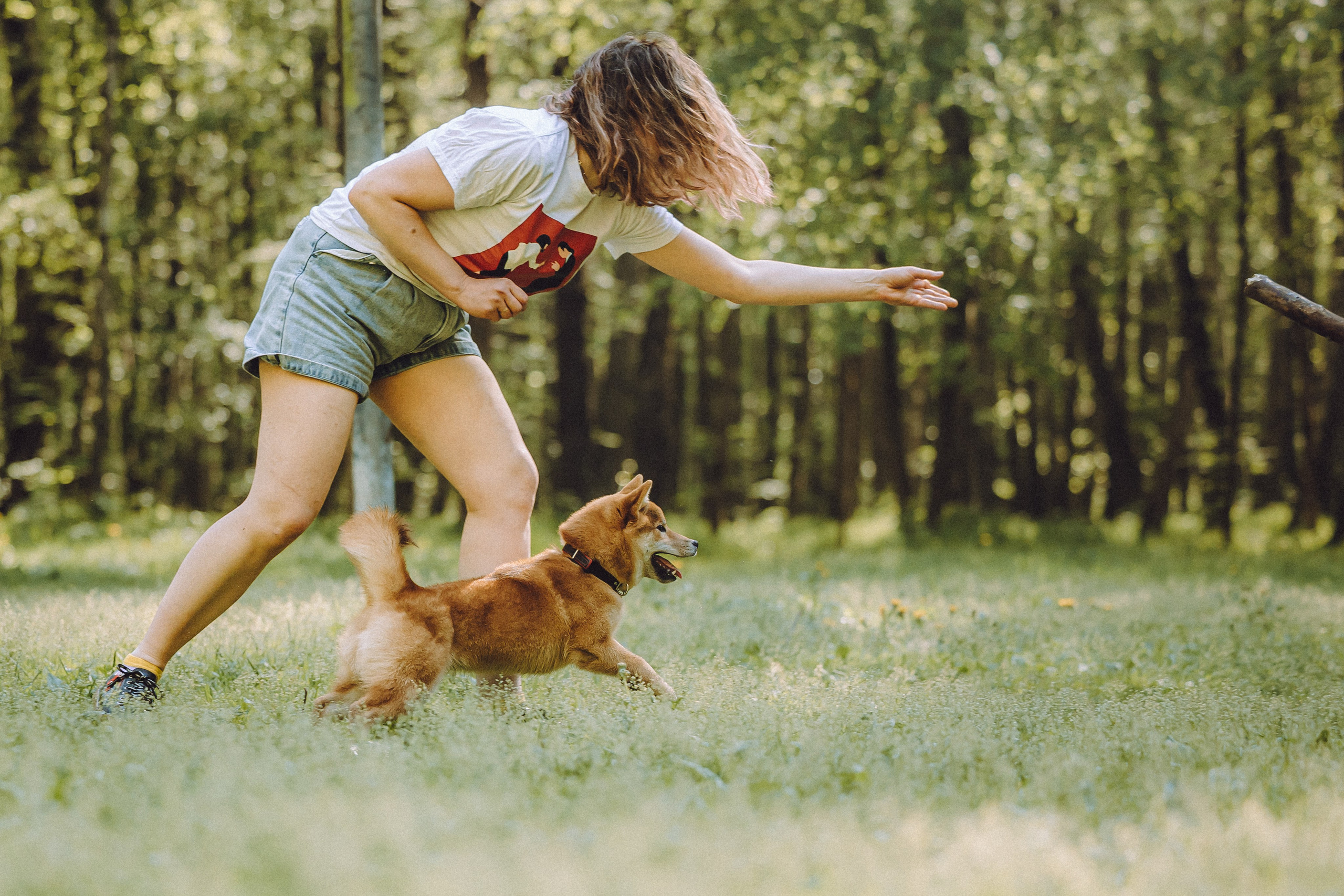 Шед, Цири, Чиби, Цера и их семья