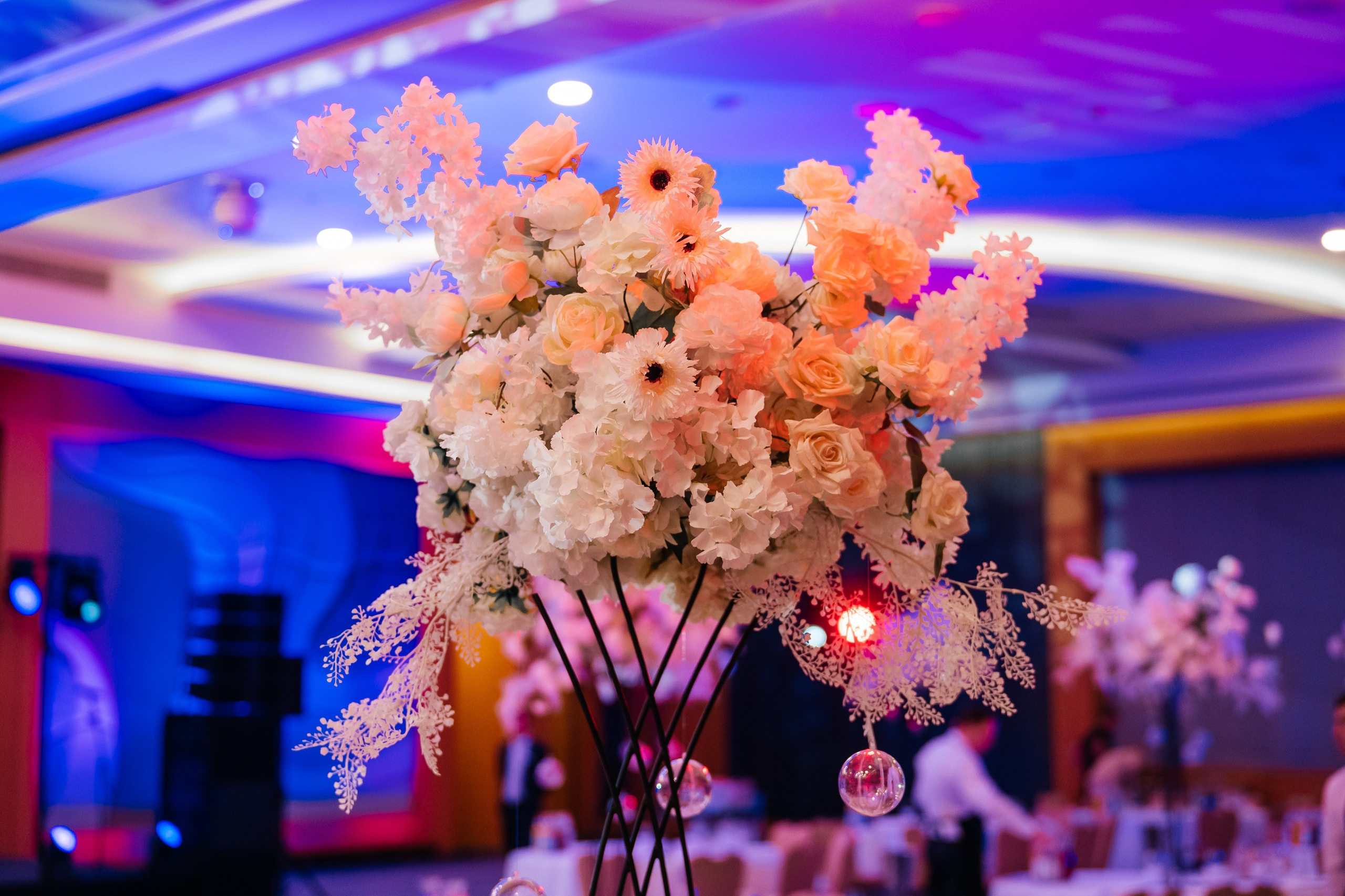 Мидийное место «Ежегодный Чемпионат на кубок Мидийного места». Фотограф Илья Бызов, Свадебный и репортажный фотограф Сочи