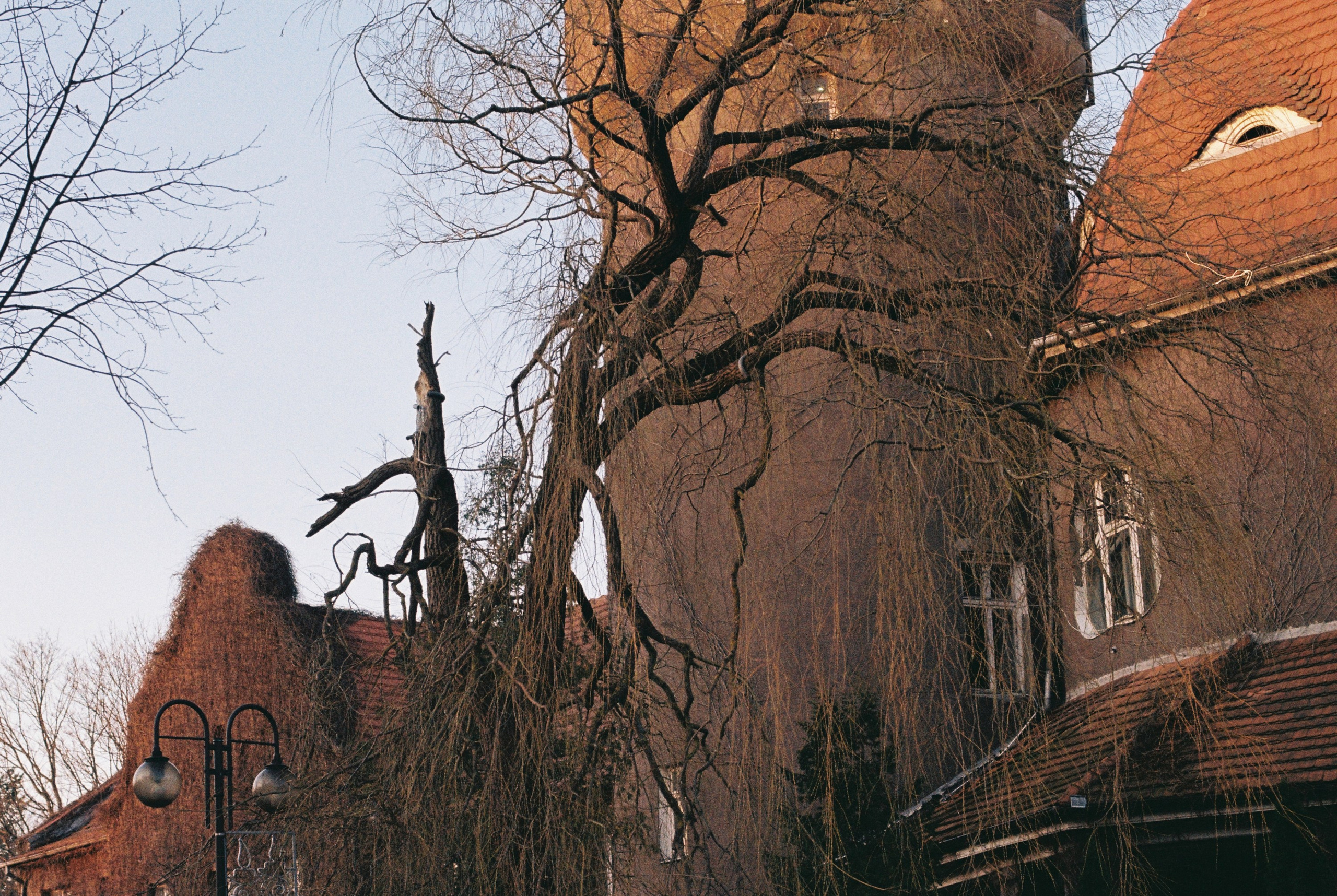 Арсений Игошев — фотограф, урбанист