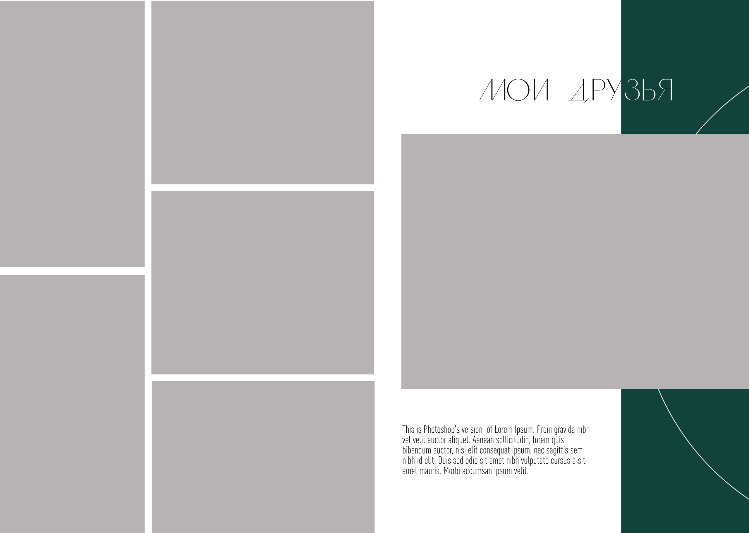 Альбом до 30 разворотов для 9 и 11 класса. Школьный фотограф Троицк