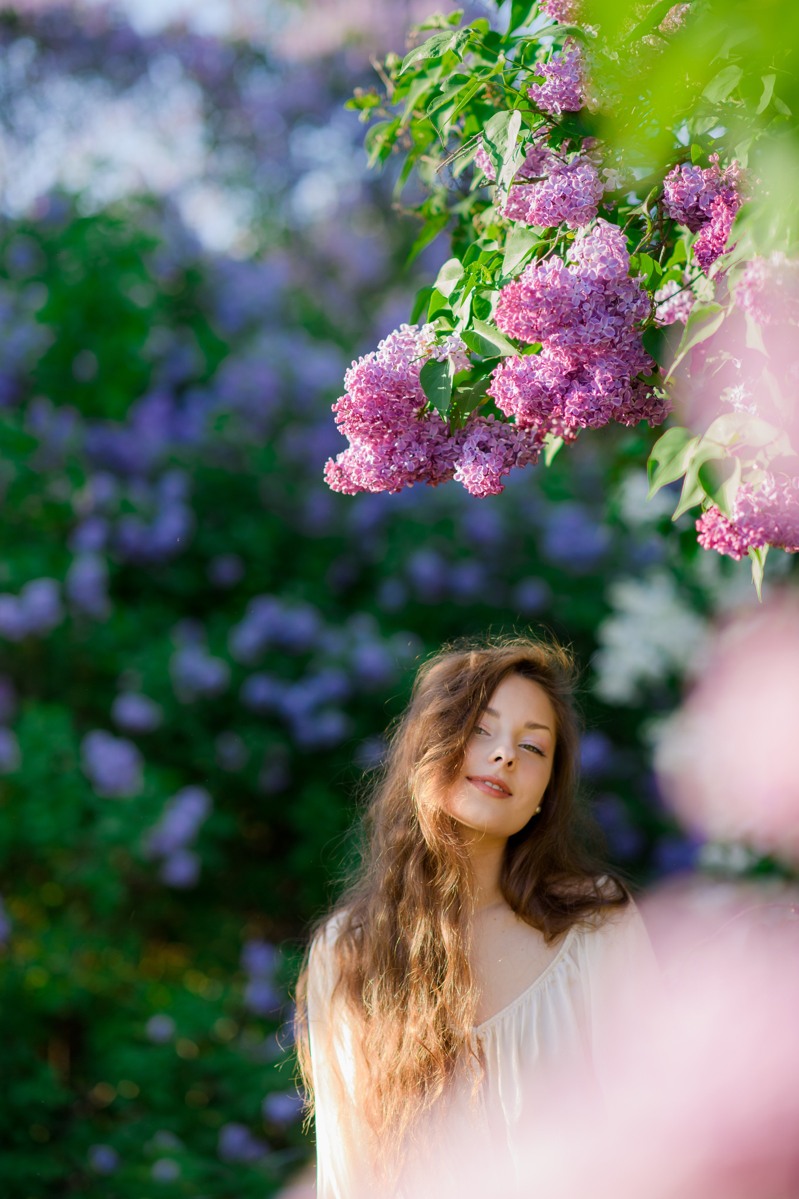Фотосессия в сиреневом саду. Главная