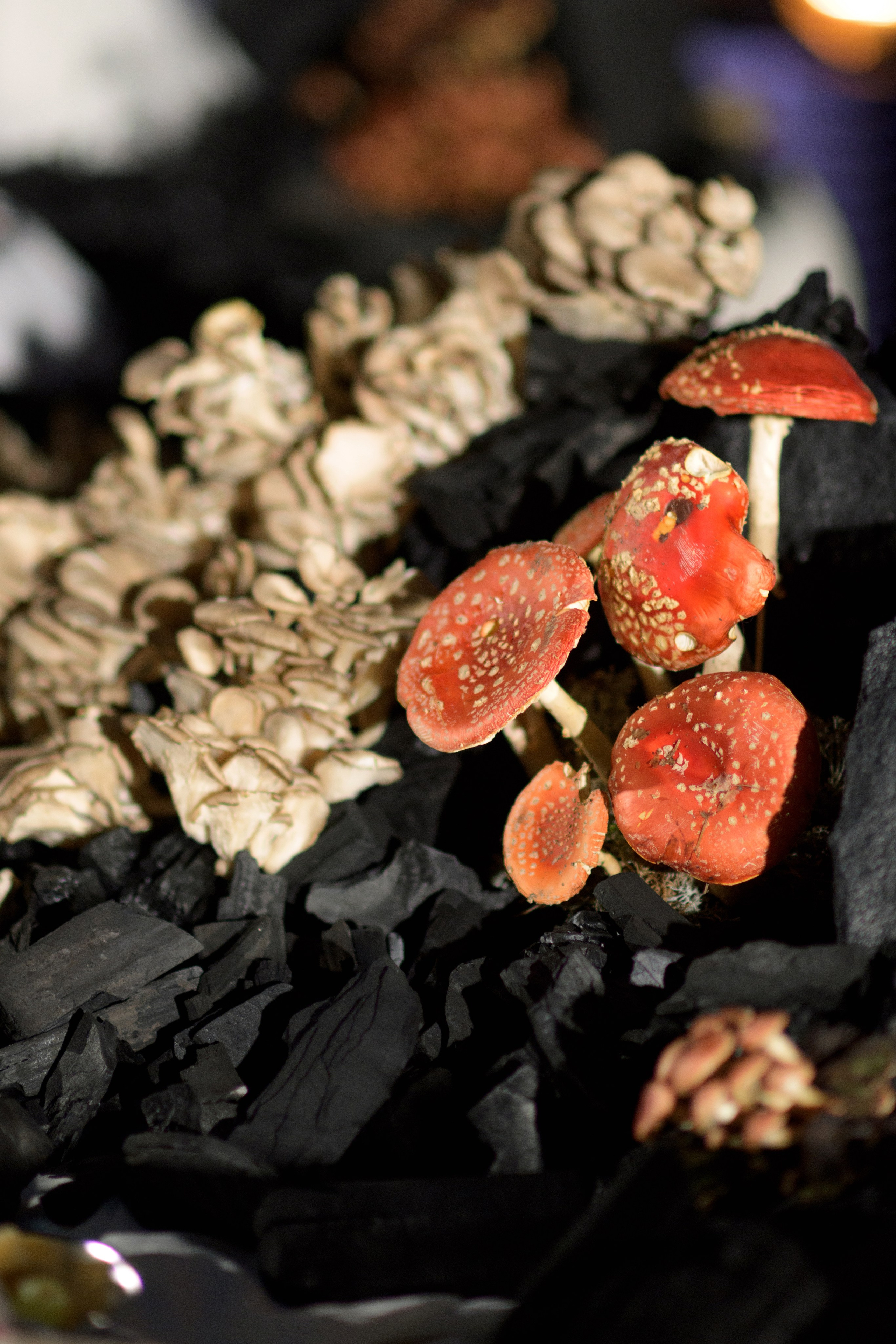 Decor by Favorite catering. Свадебный фотограф в Минске