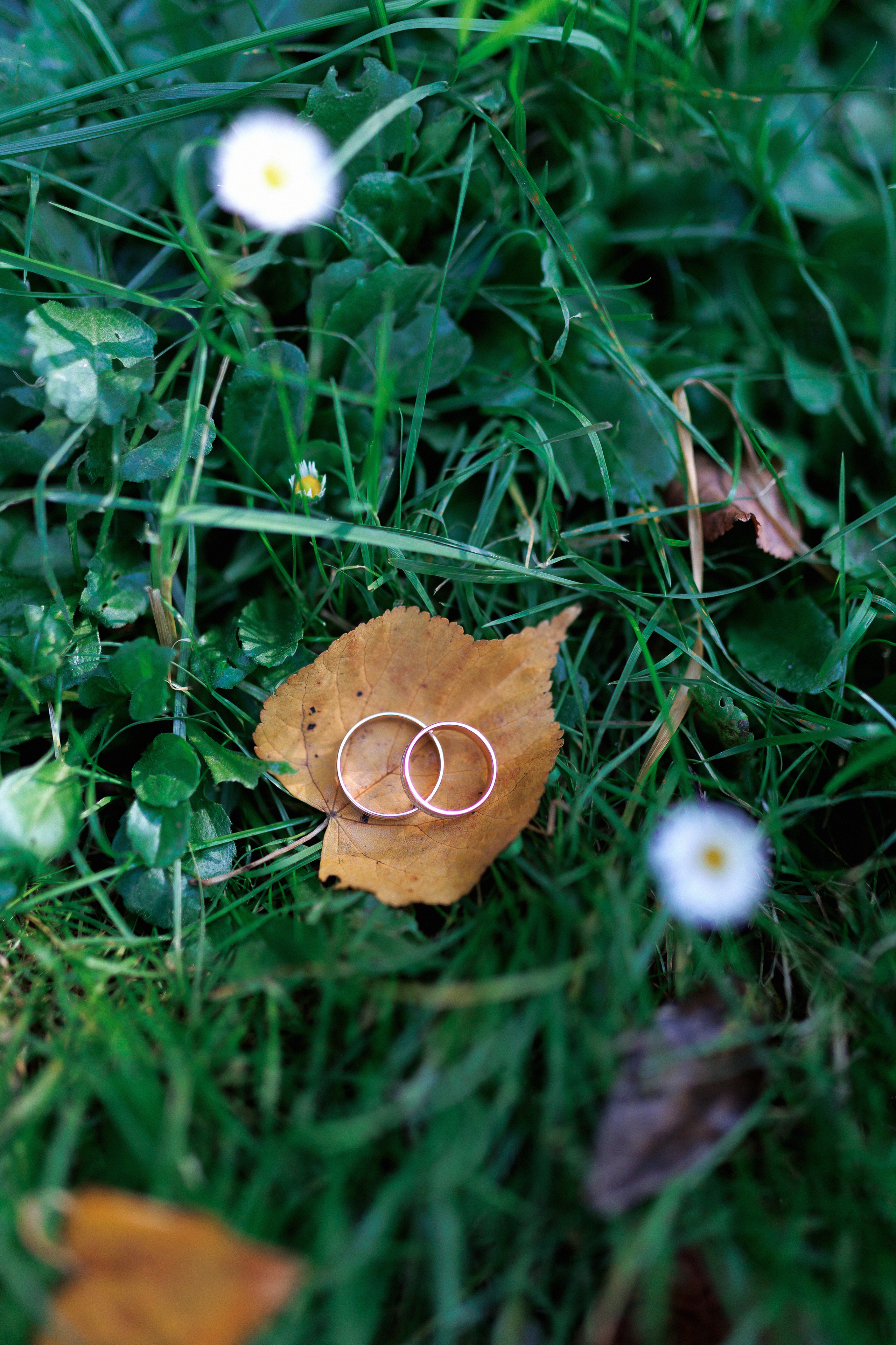 Алексей и Анна. Свадьба в Царицыно. Настя Оленченко, портретный/семейный фотограф на цифру и плёнку Москва