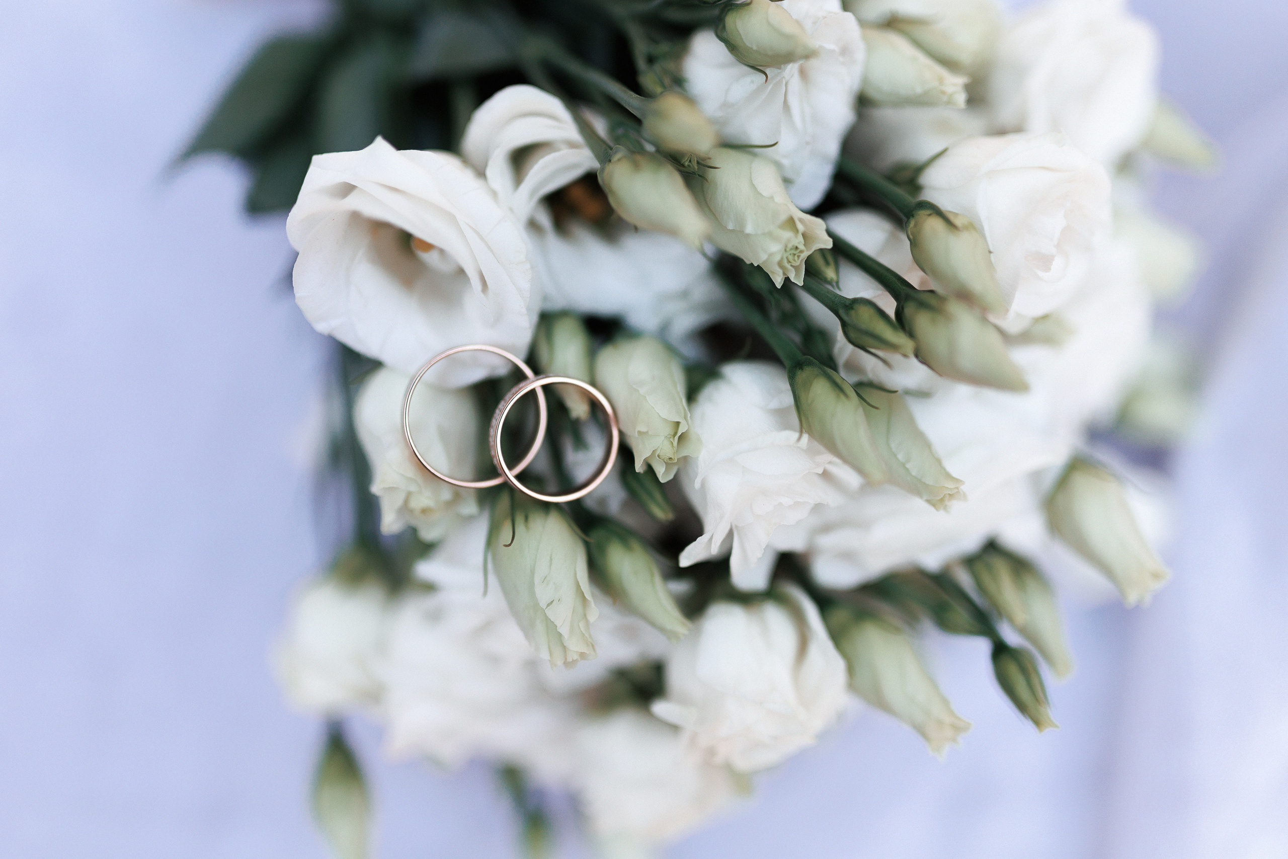 Алексей и Анна. Свадьба в Царицыно. Настя Оленченко, портретный/семейный фотограф на цифру и плёнку Москва