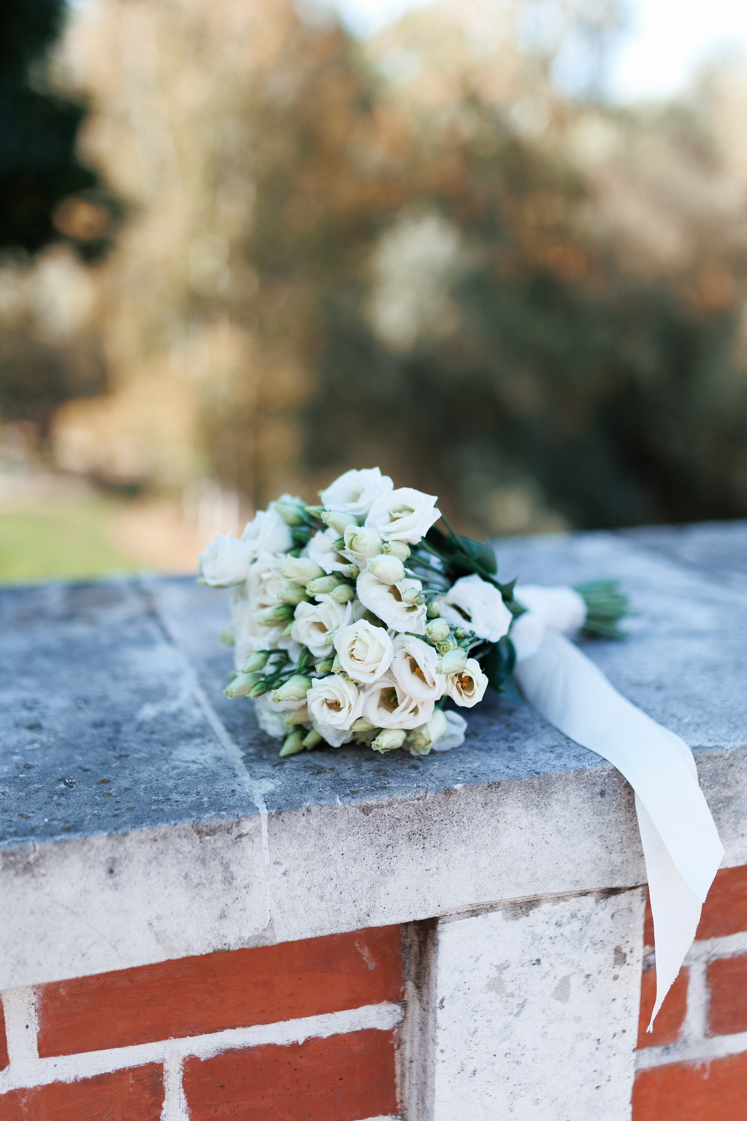 Алексей и Анна. Свадьба в Царицыно. Настя Оленченко, портретный/семейный фотограф на цифру и плёнку Москва