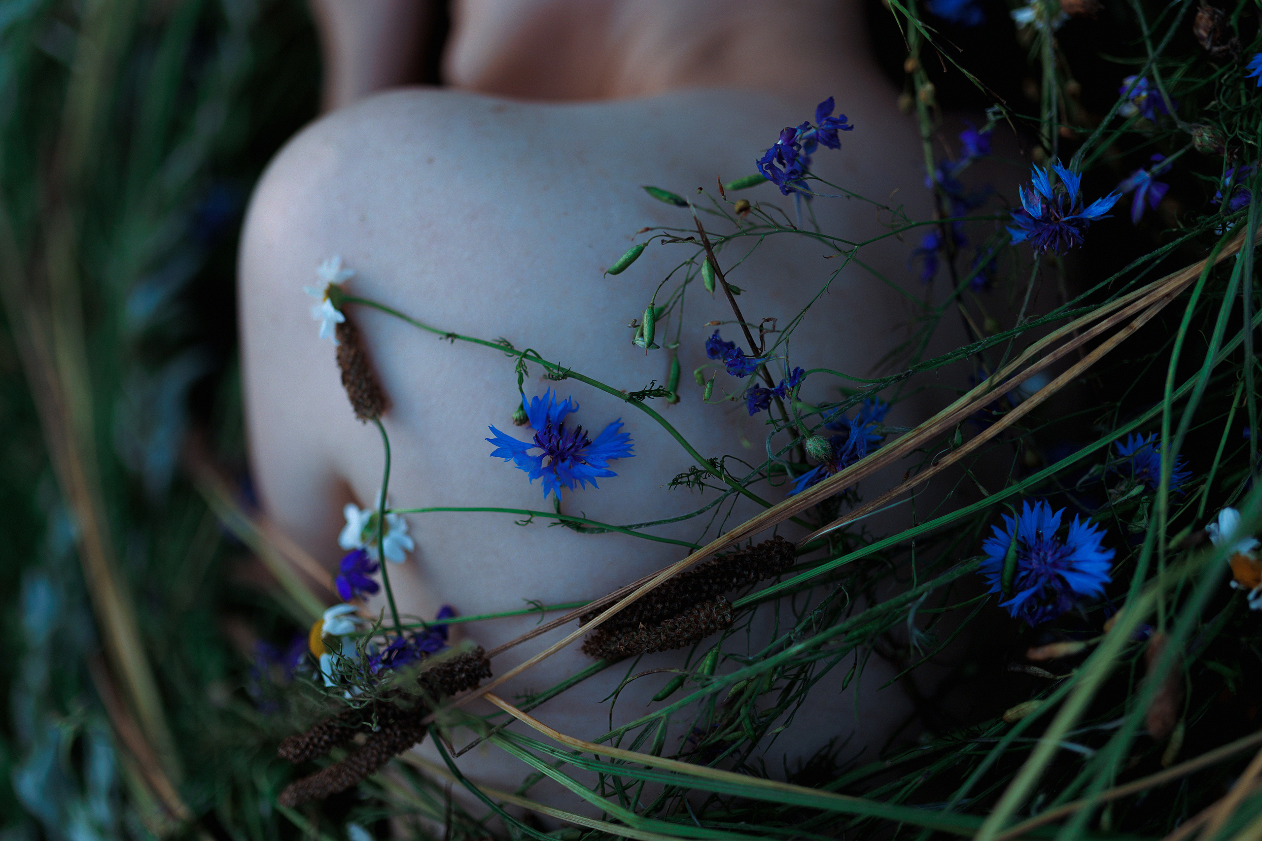 Загородное волшебство. Настя Оленченко, портретный/семейный фотограф на цифру и плёнку Москва