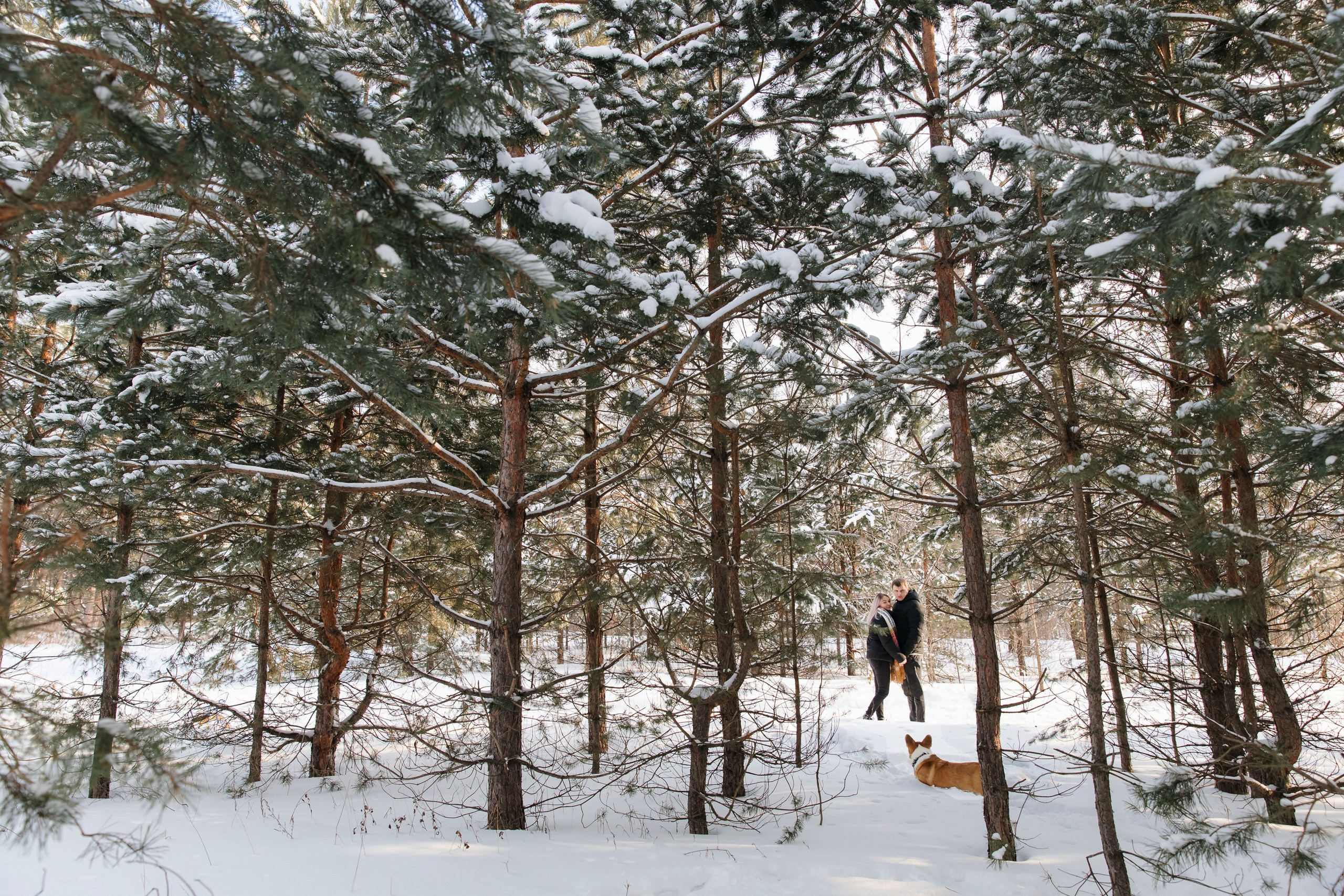 Герман, Алиса и Степочка. Маргарита Рубцова свадебный фотограф Тольятти