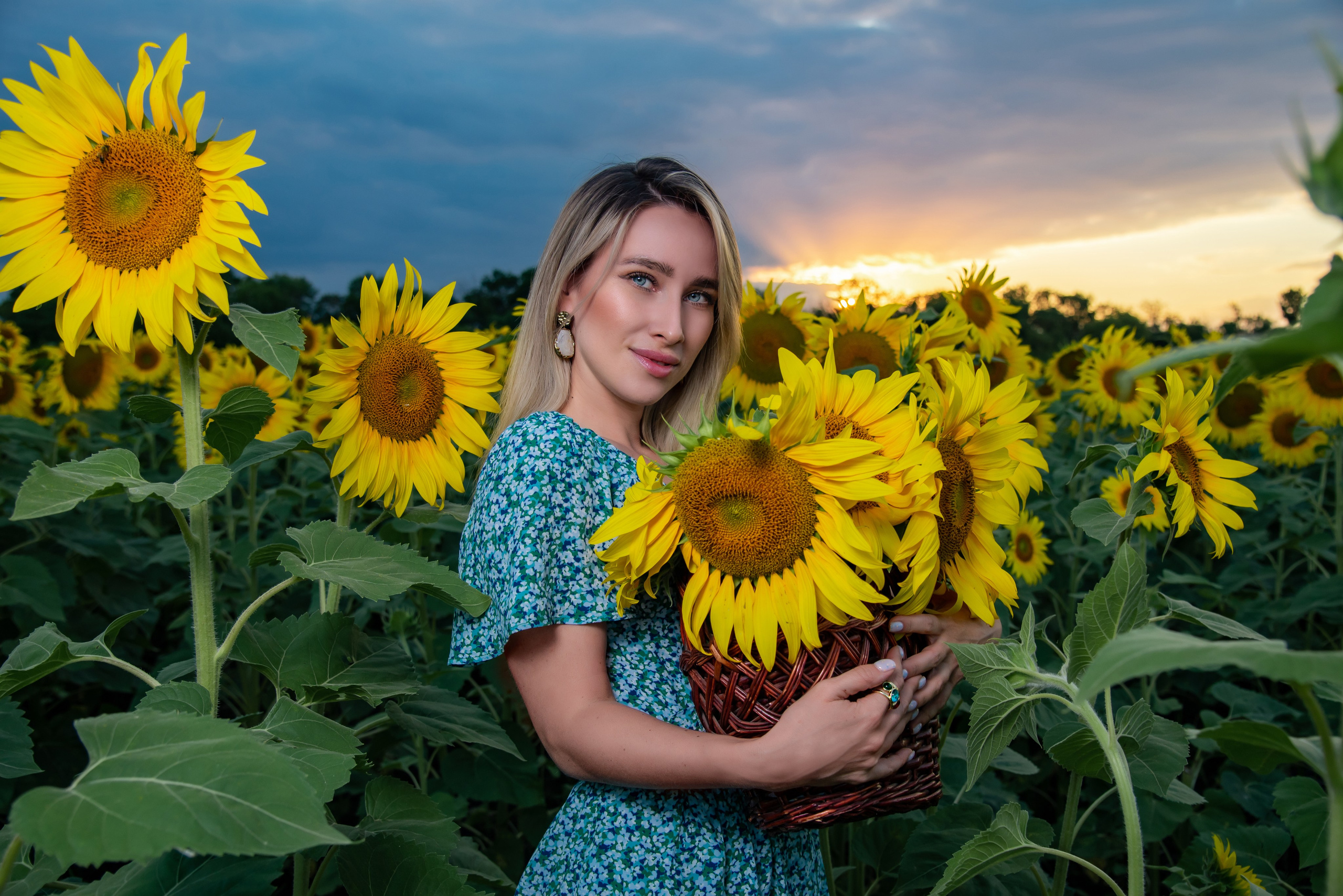 Подсолнух. Фотограф Галина Нестерова