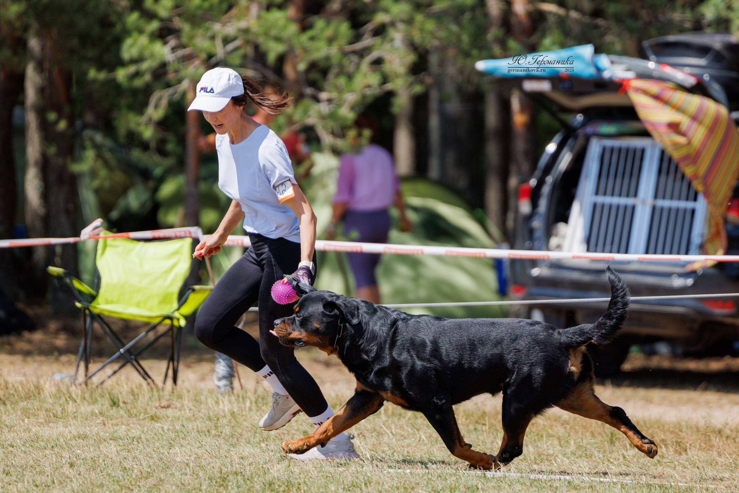 ПК и КЧК ротвейлеры Тверь 6-7.07.2024. Фотограф-анималист Юлия Германика