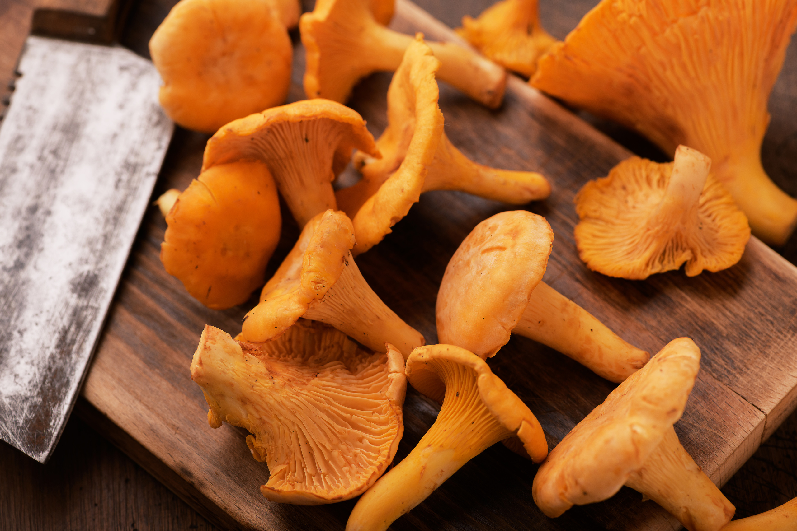 Food-фотография. Фотограф — Рустам Бикулов. Коммерческая фотография, фуд-фотография