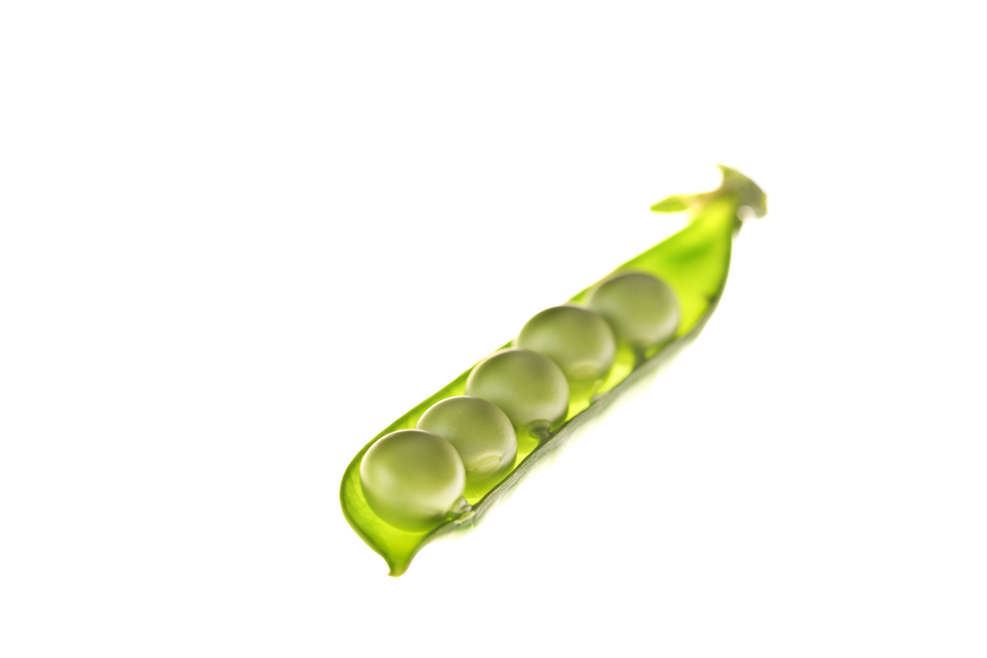 Food-фотография. Фотограф — Рустам Бикулов. Коммерческая фотография, фуд-фотография