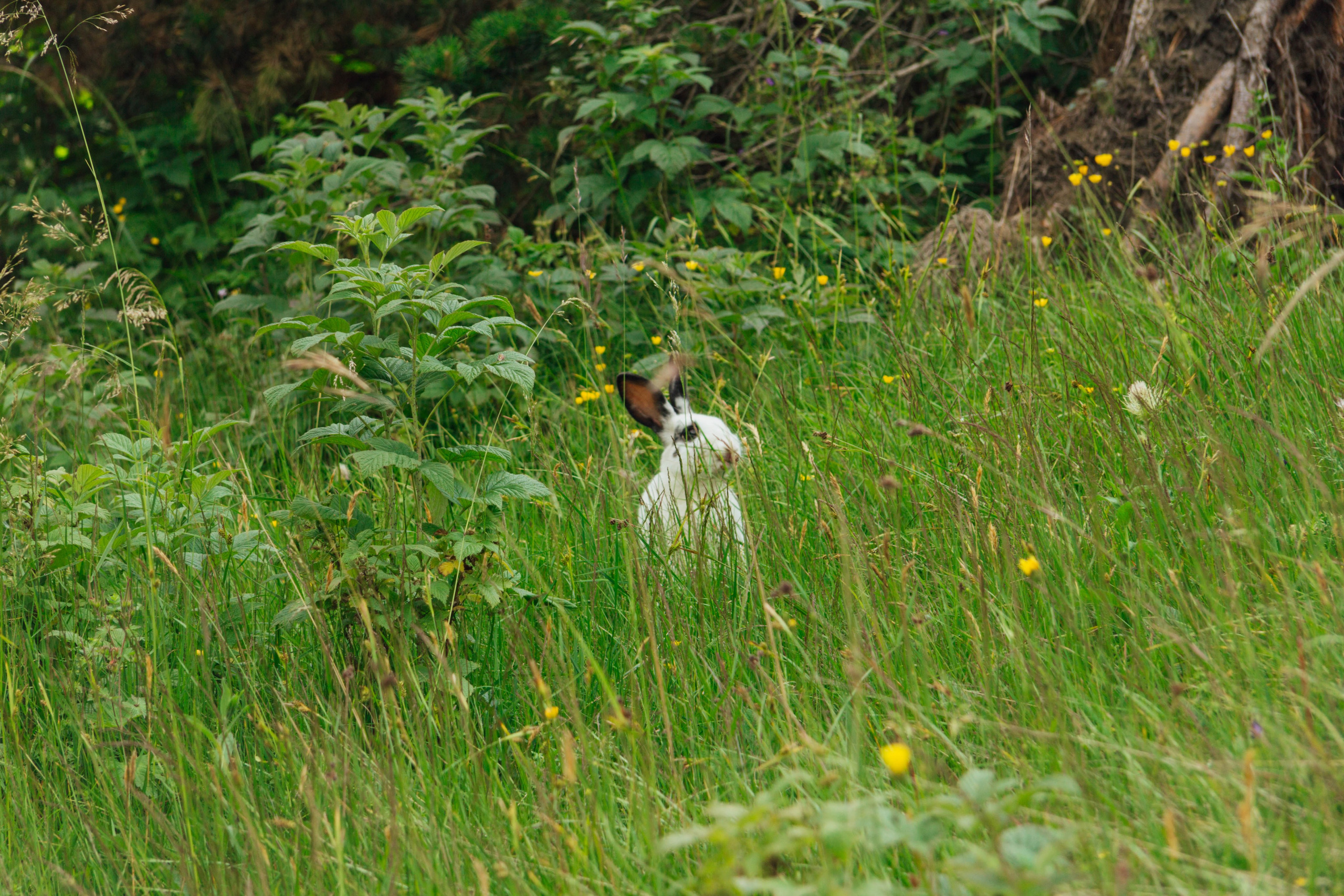 Уштулу. GIGI TOUR