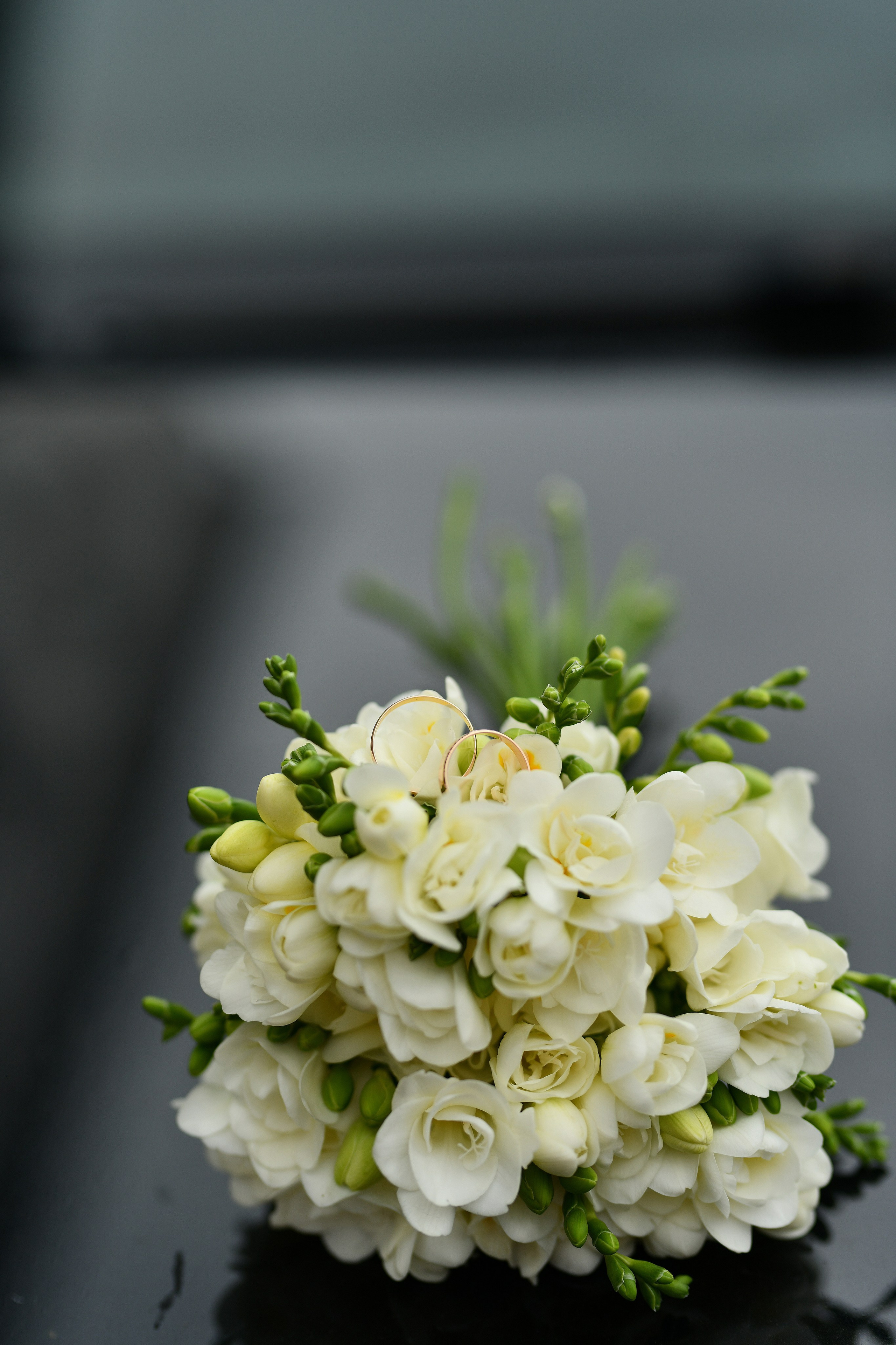 Свадебные фотосессии. Семейный и свадебный фотограф в Ярославле Леся Новикова