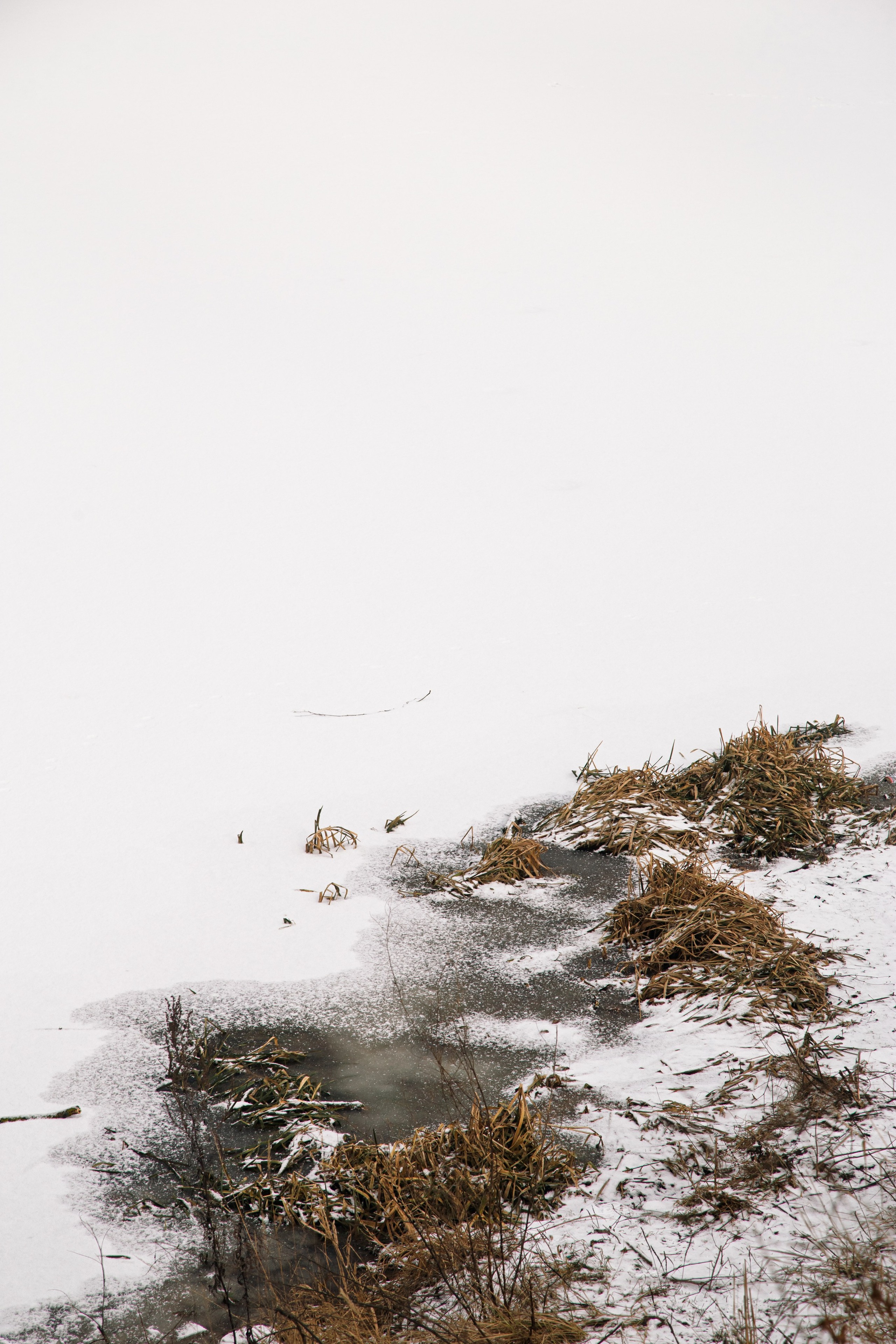 Осенняя зима. Dmitriy [KCCC] is a pretty cool photographer