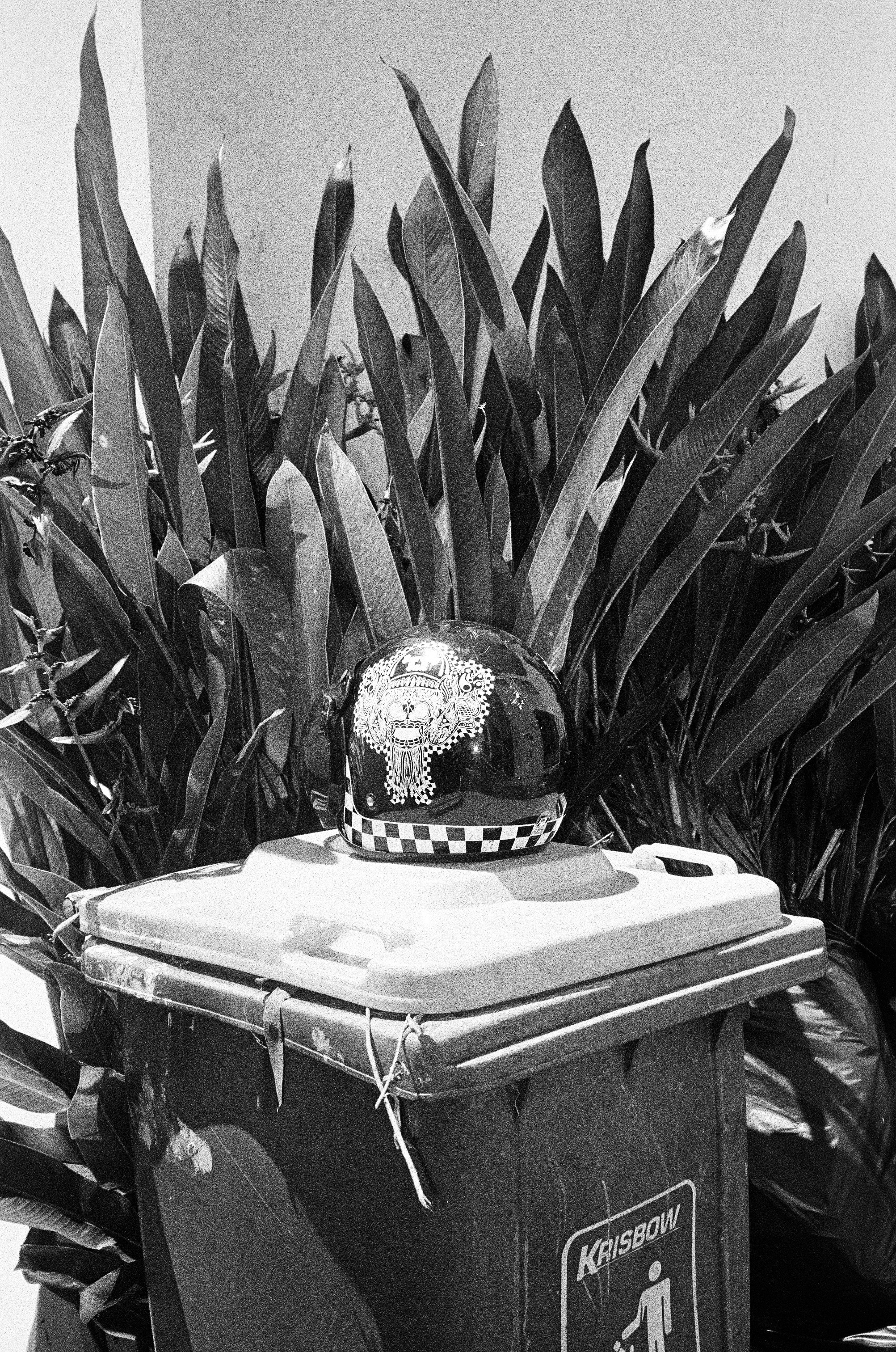 Who u are?. Carolinetru