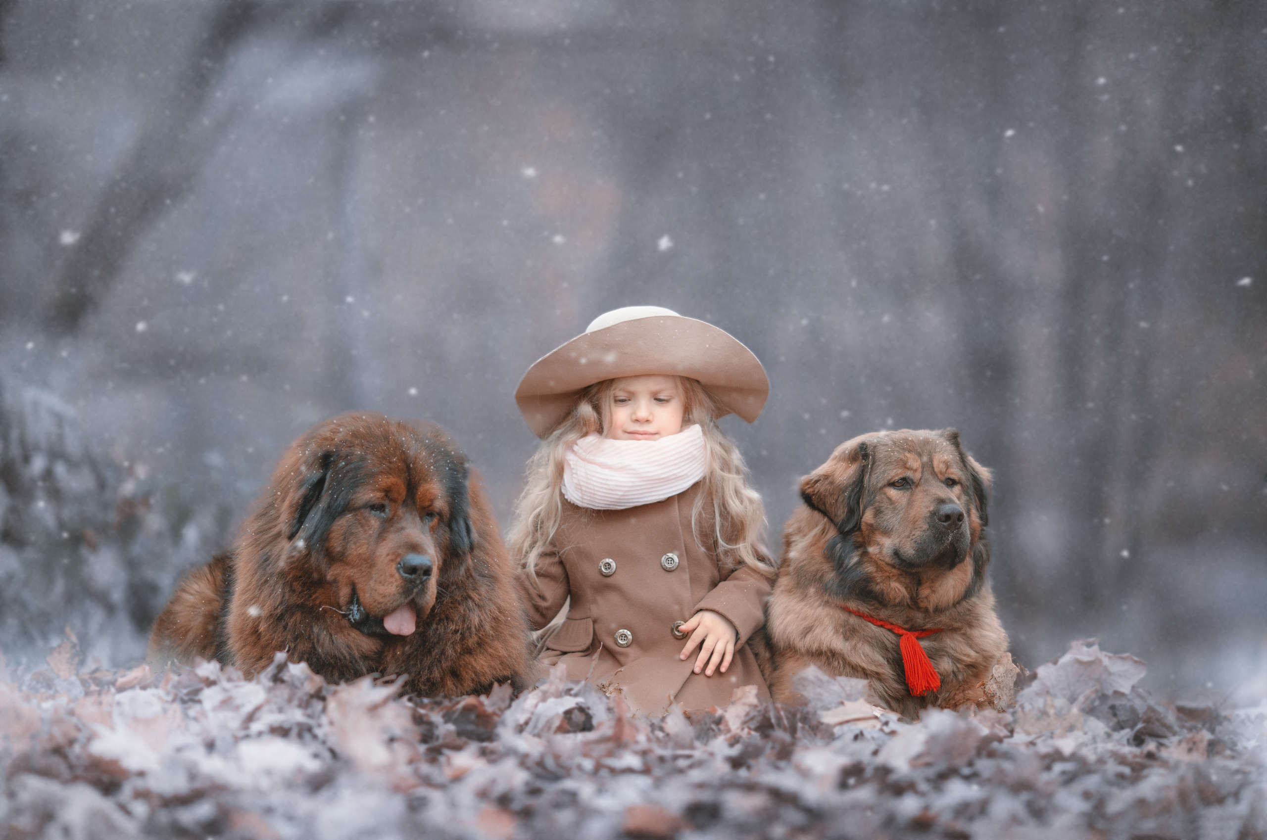 Детская фотосъемка в Нижнем новгороде. Arma Gray — Нижний Новгород