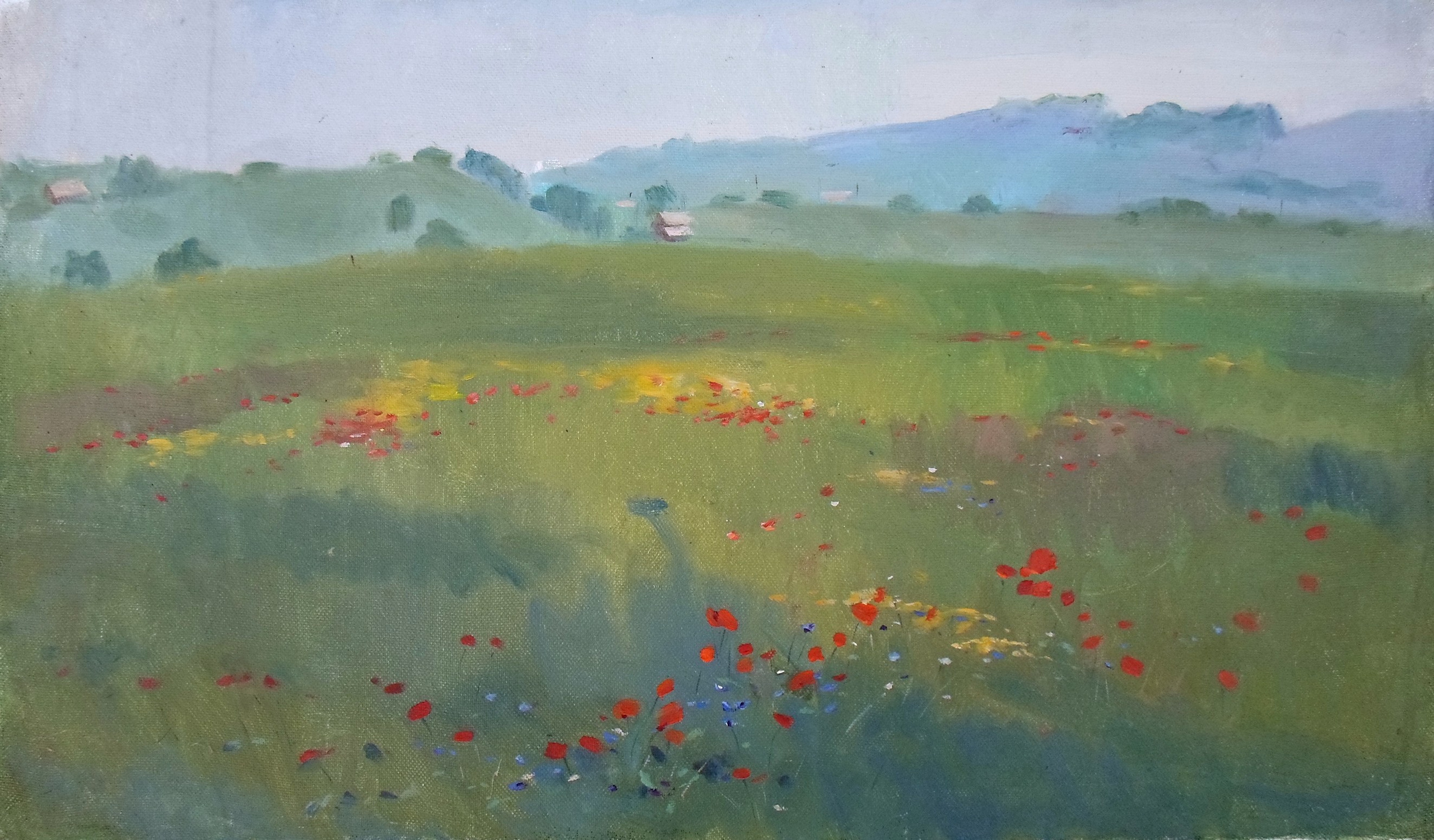 Этюд маслом маковых полей рядом с городом Бахчисарай в Крыму