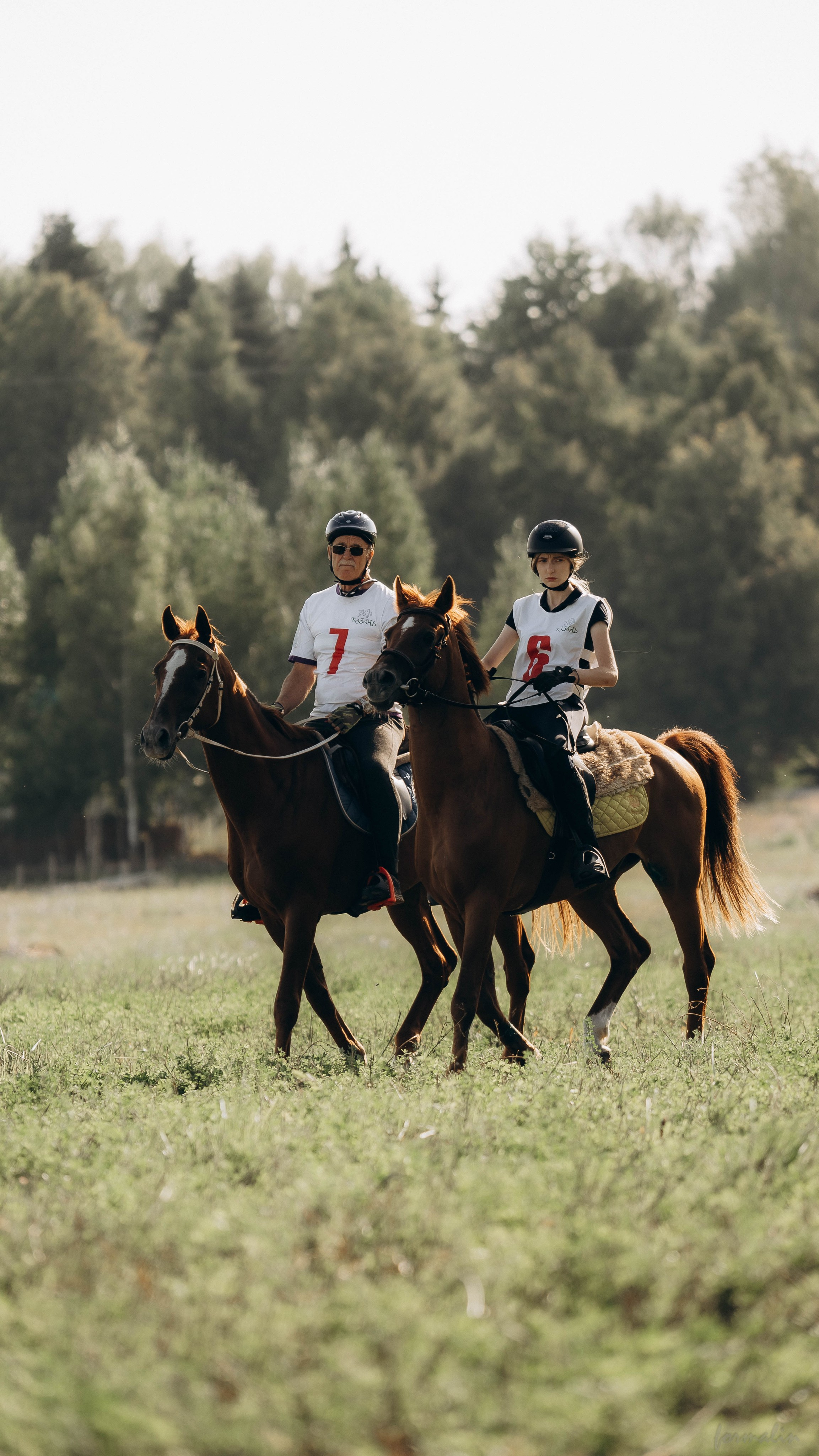 День Коня. Алиса Никитцова | Фотограф в Казани