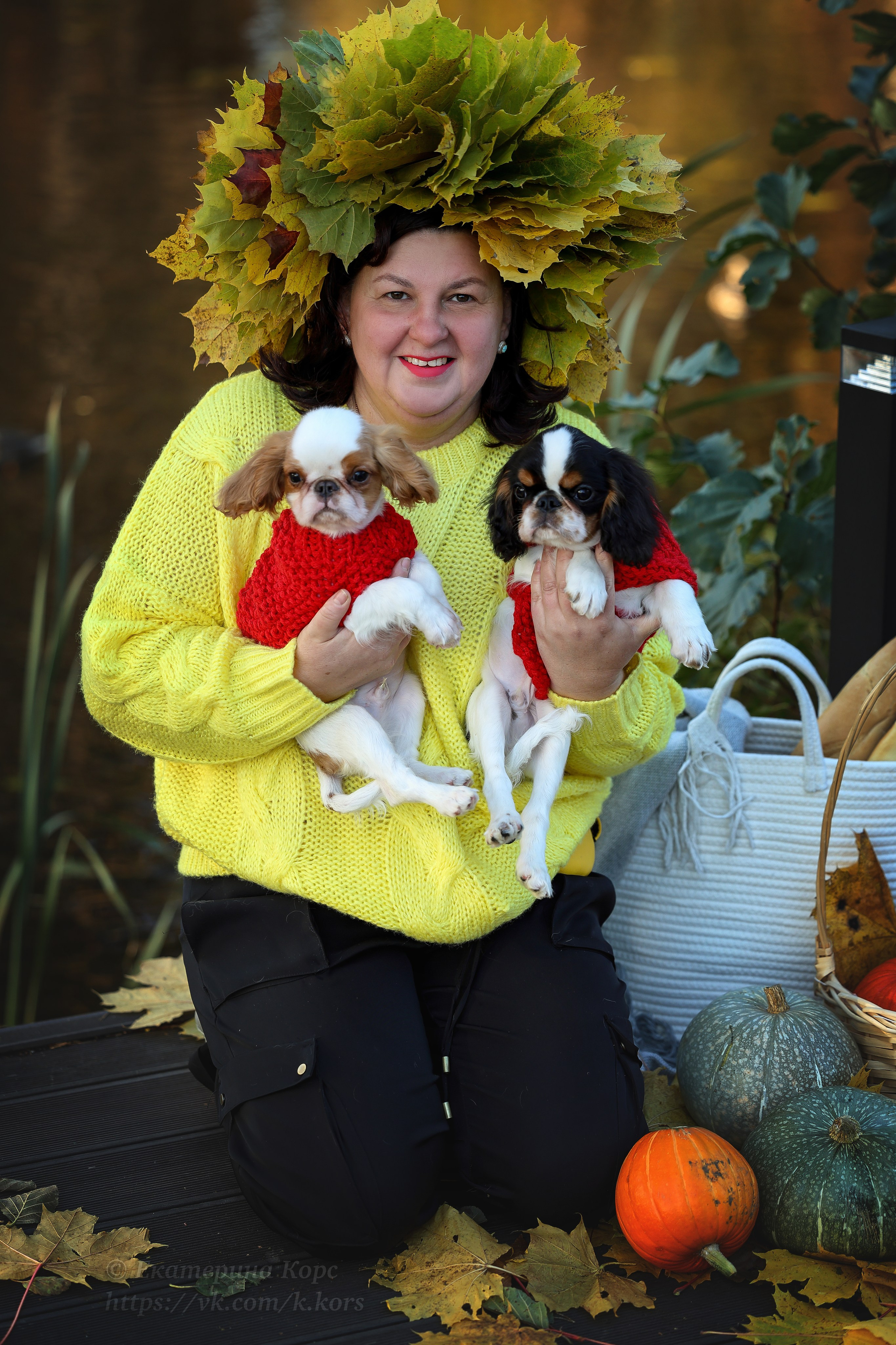 Собаки и люди. Главная