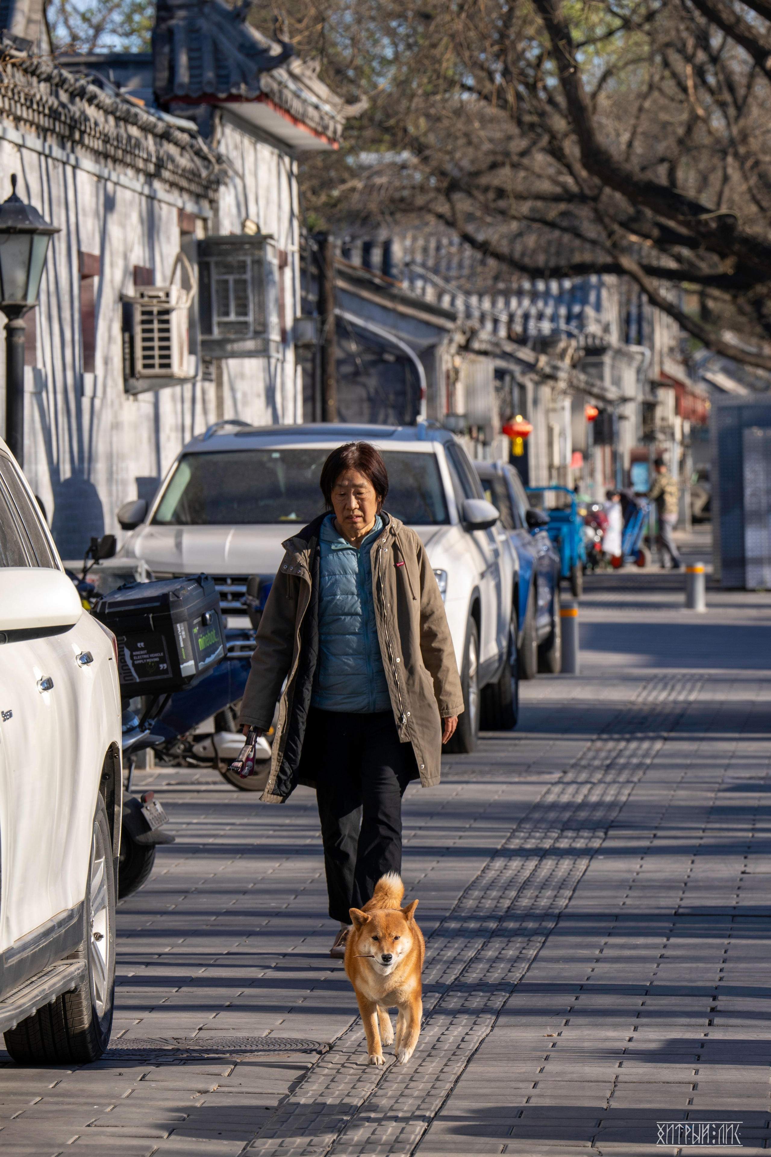 Пекин. Фотограф-путешественник Самойлов Максим «Sly Fox»