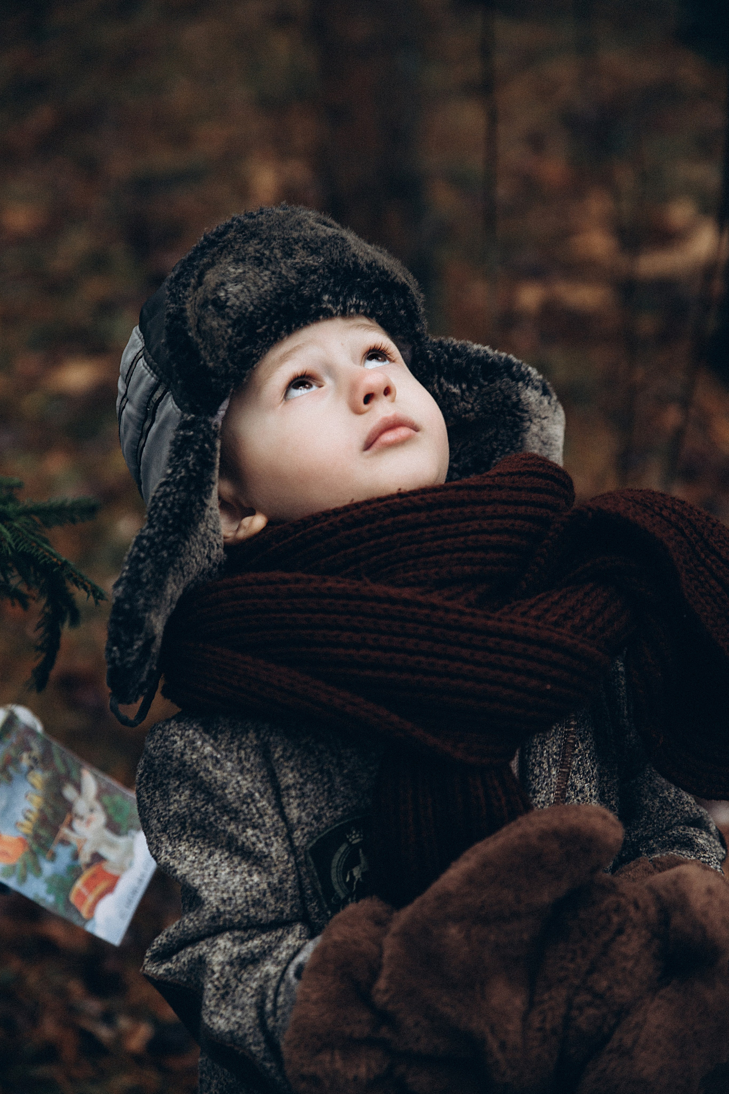 Елка в лесу. Репортажный и детский фотограф в Минске