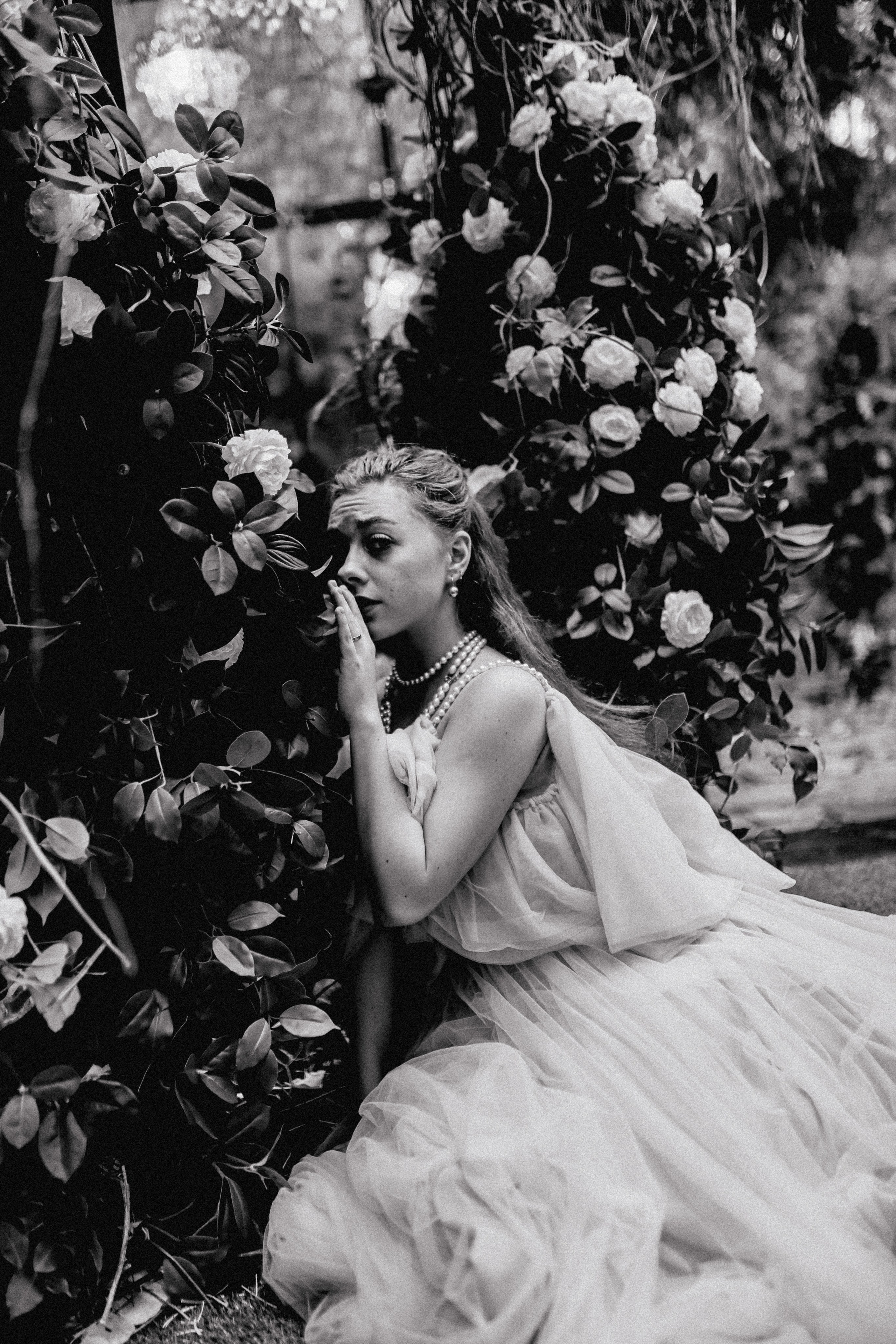 Зачарованный лес