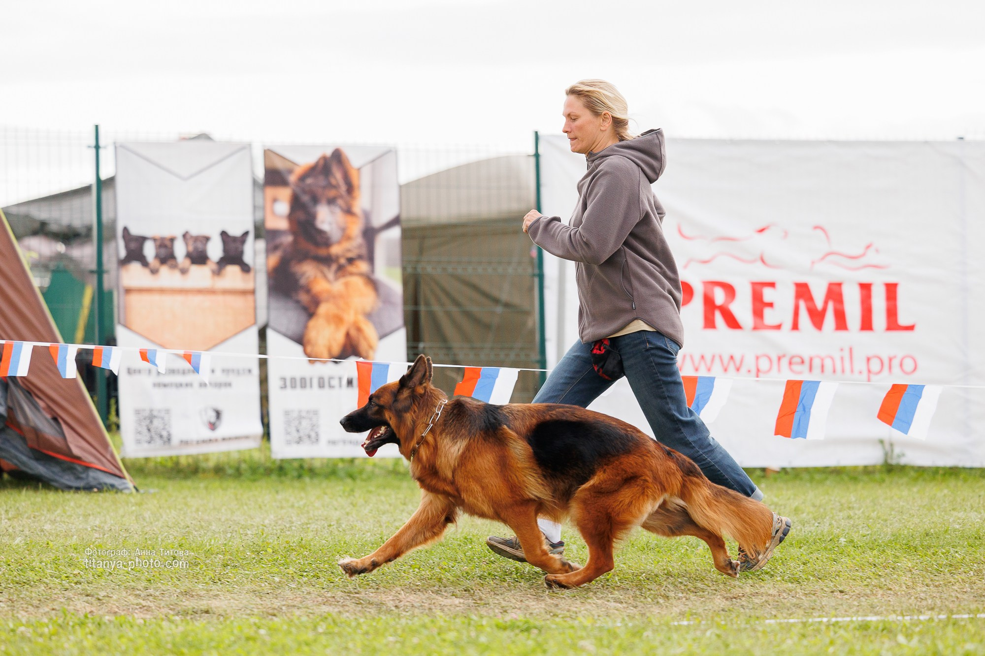 Немецкие овчарки: фото из рингов и вне ринга, мутпроба (фотографии с выставок). Фотограф собак, фотограф-анималист Аня Титова (Titanya). Москва