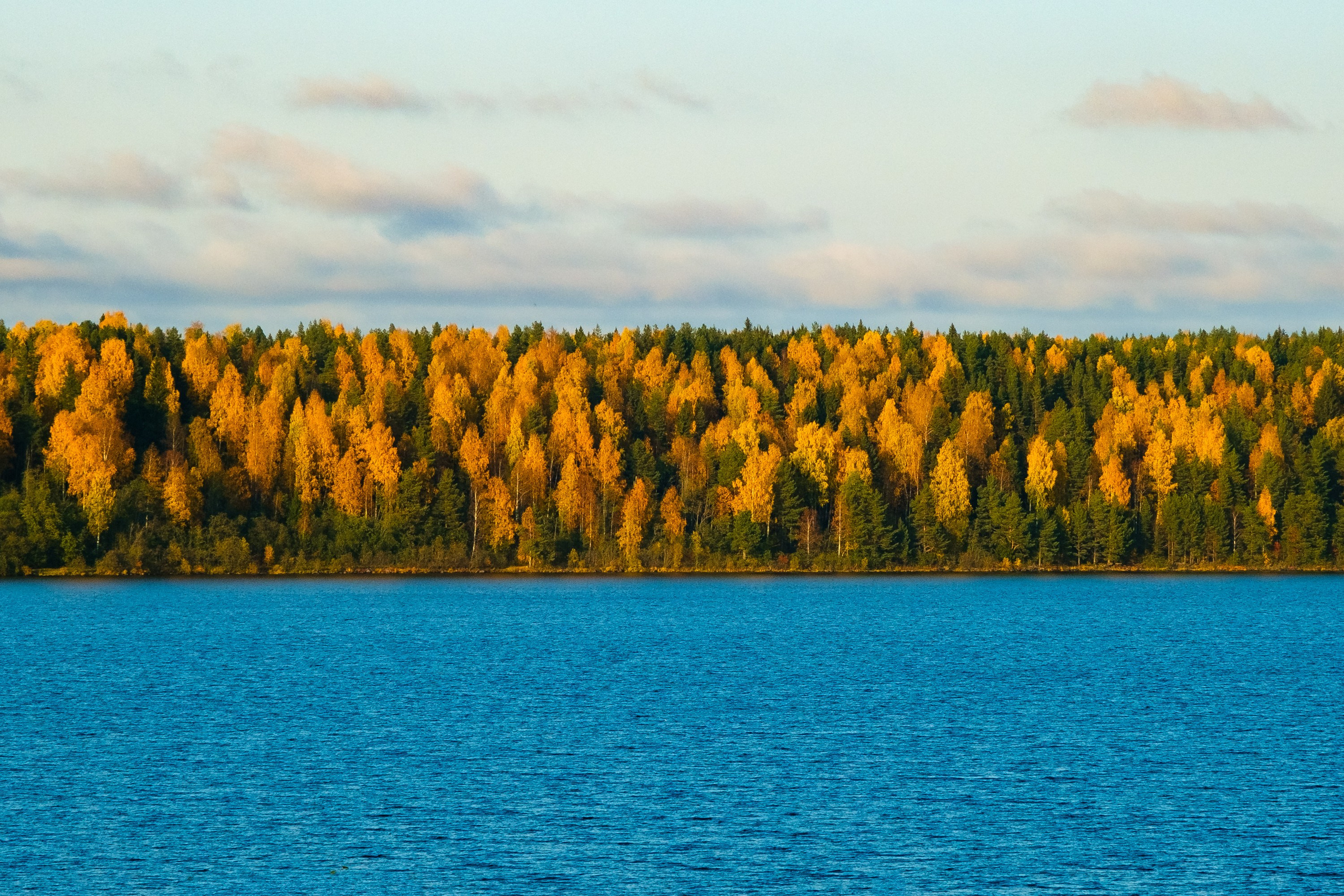 Архангельская область. Фотограф и видеооператор в Туле | Даниил Рыбак