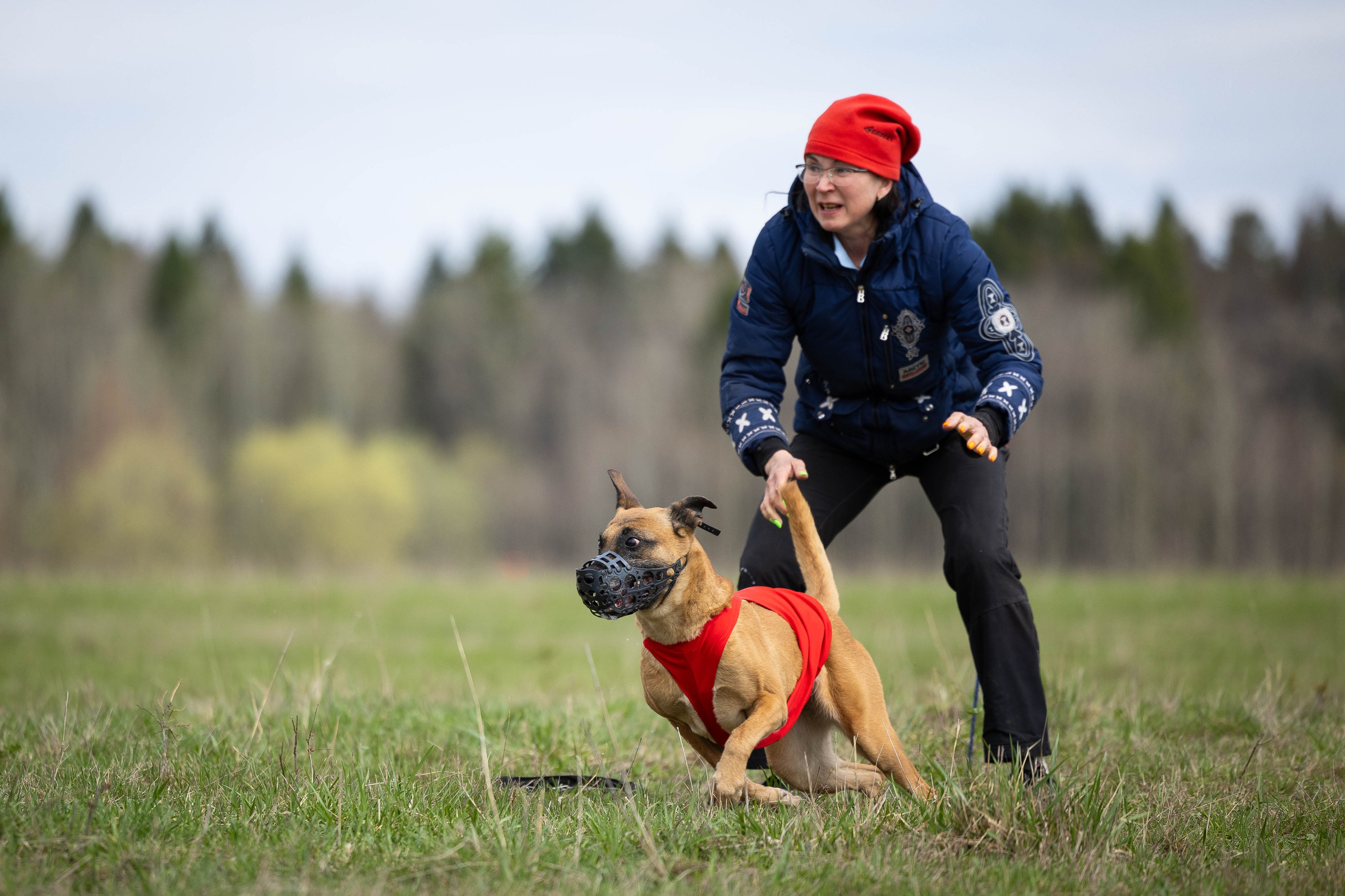 Курсинг. Фотограф Анималист в Перми Анастасия Остерман