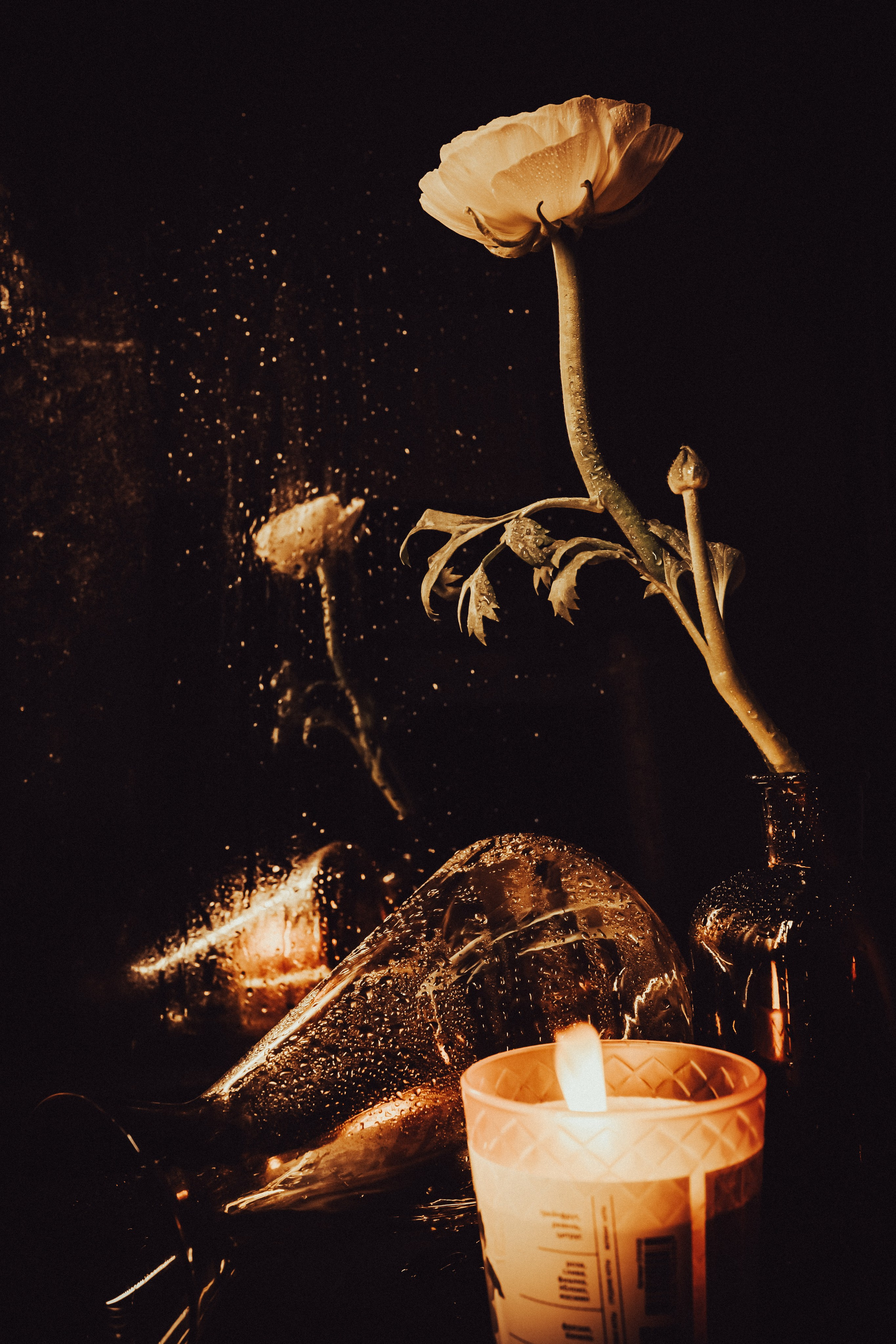 Природа &. Фотохудожник в СПб