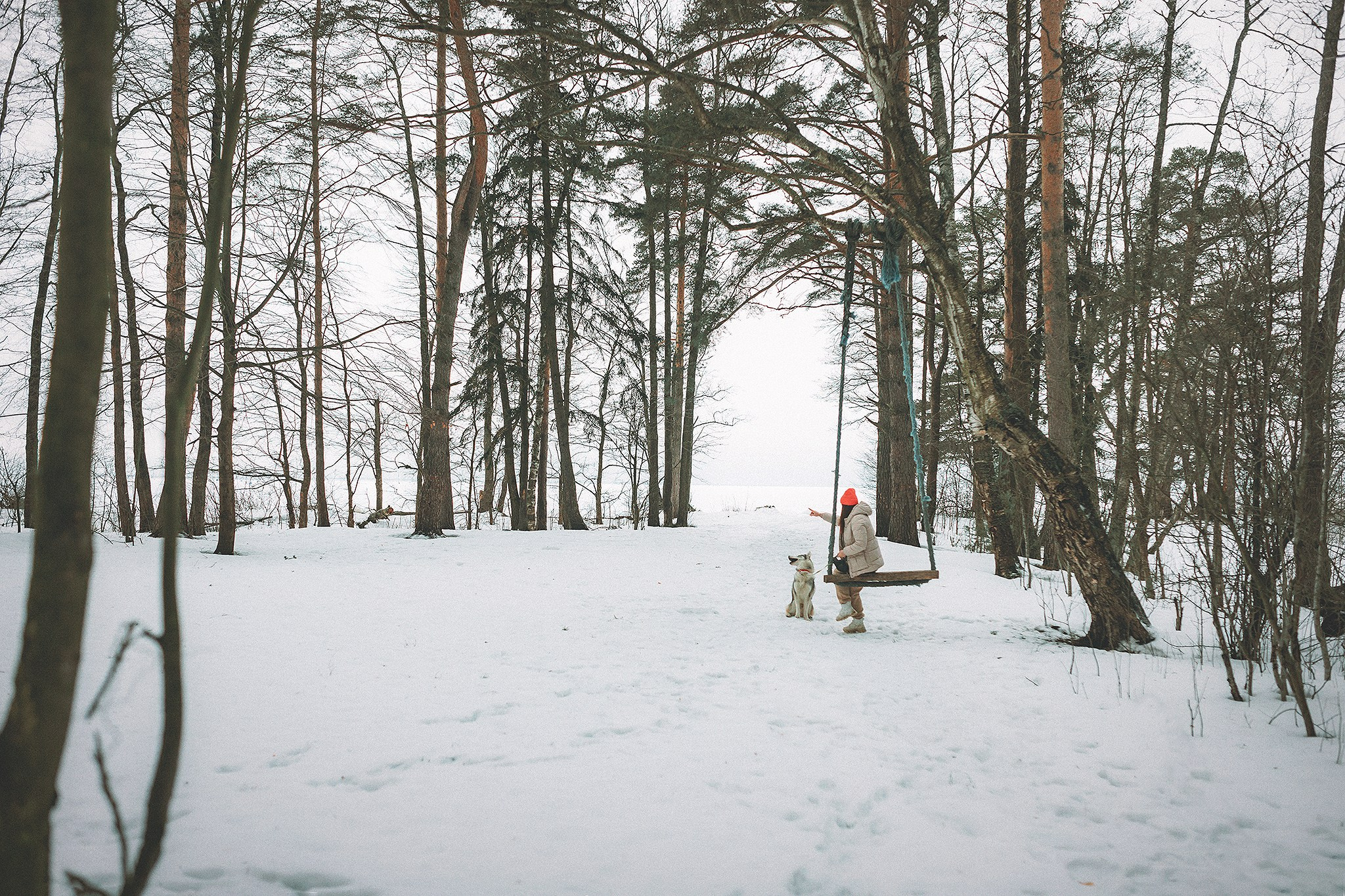 Даймонд и Настя. Фотограф-анималист • love-story • Санкт-Петербург