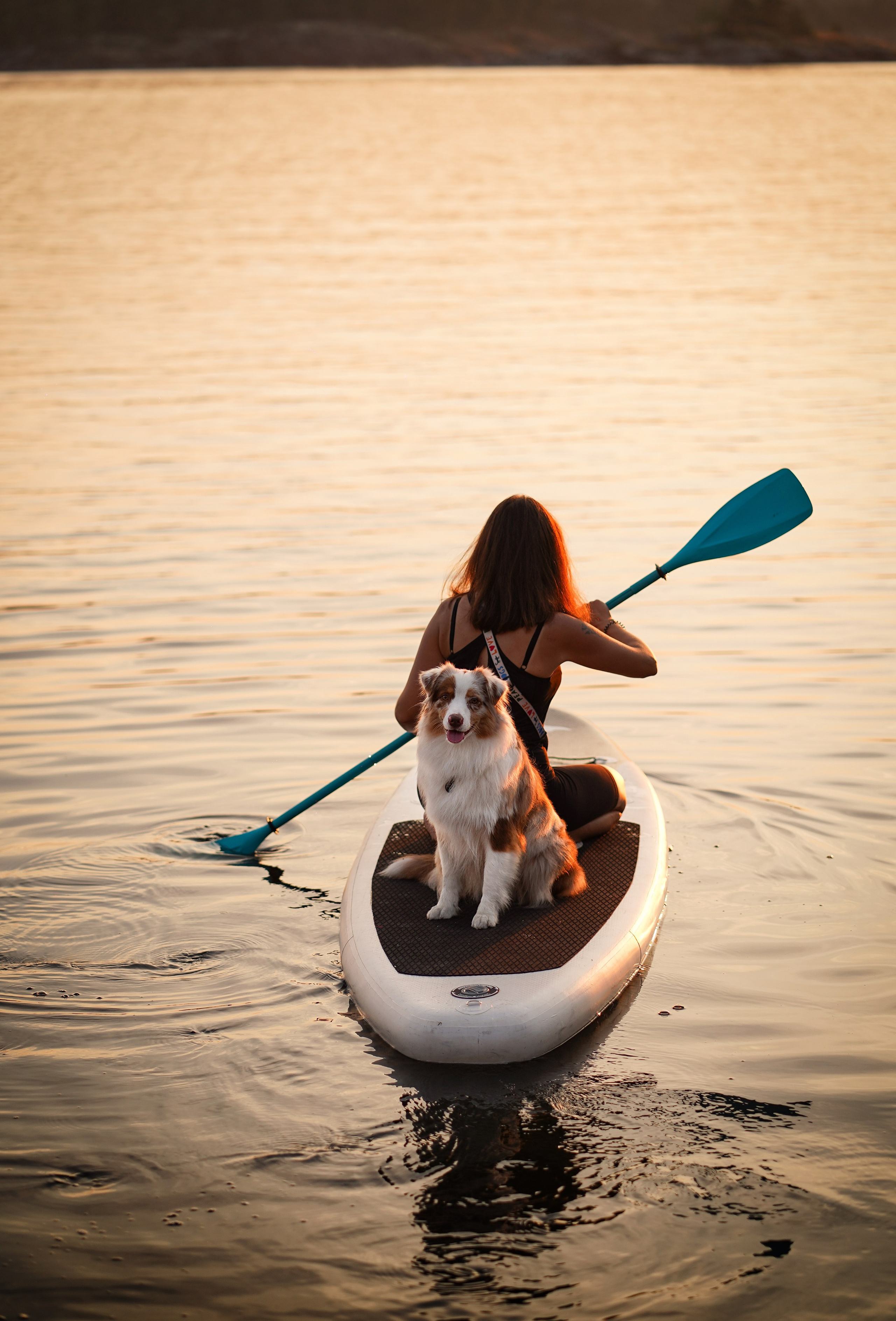 Панда SUP. Фотограф-анималист в Санкт-Петербурге Яна Мартынова
