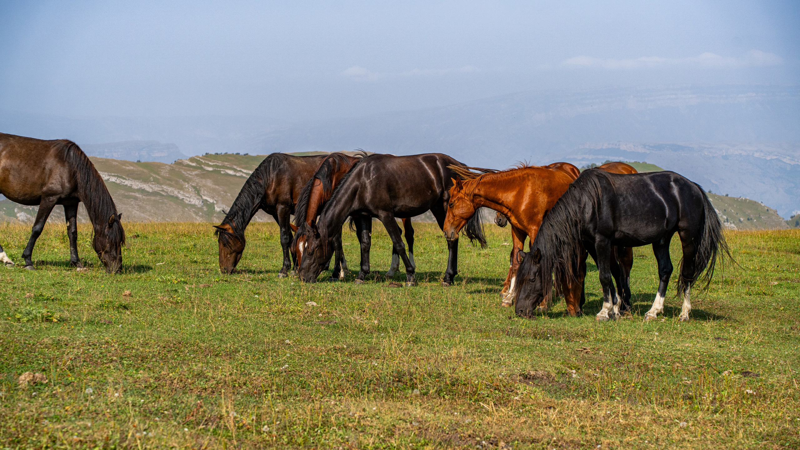 Дагестан. Фотограф в Москве. Шахабудин