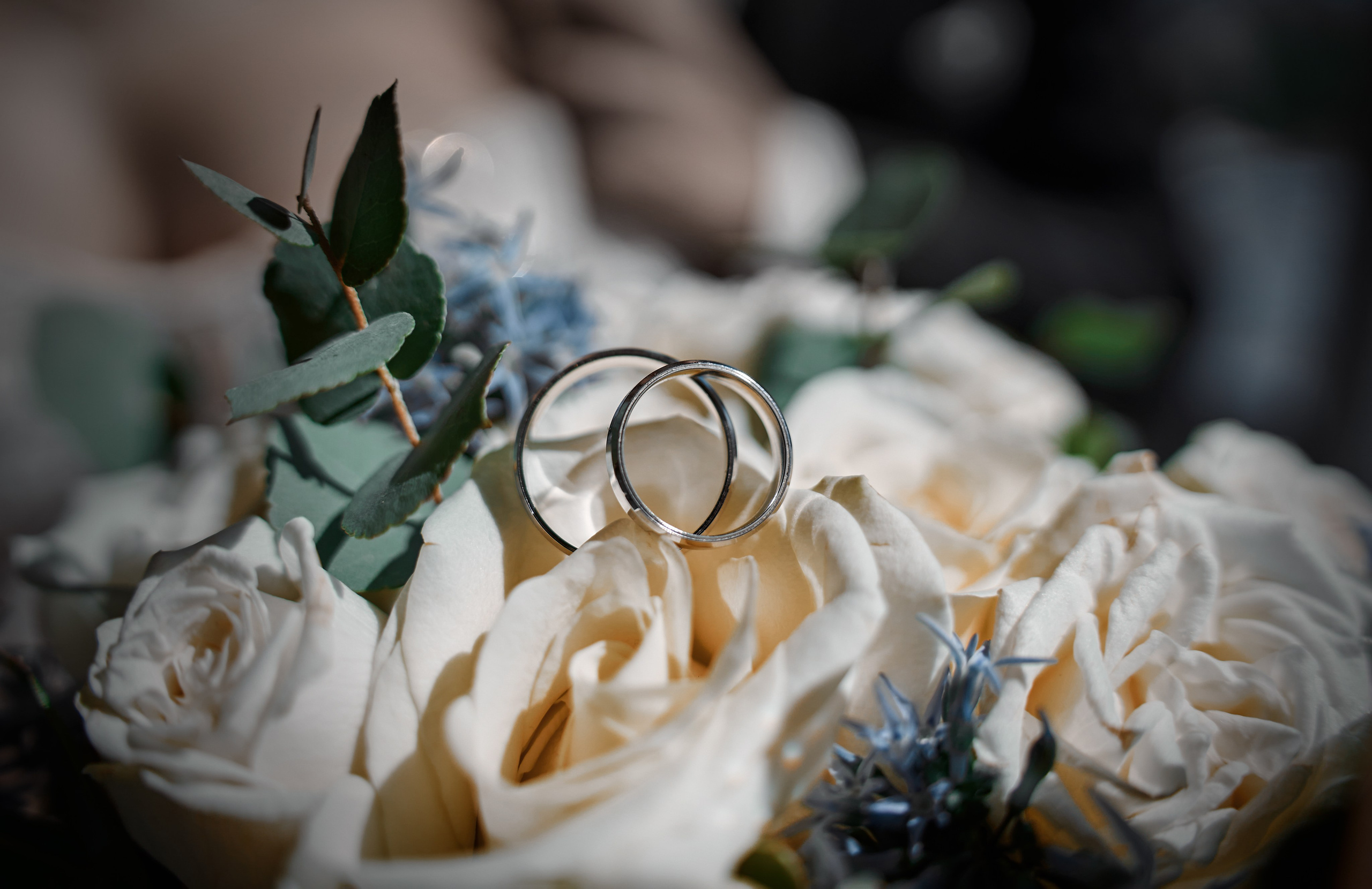 Wedding Artem & Alina. Профессиональный фотограф в Воронеже Владислав Крылов