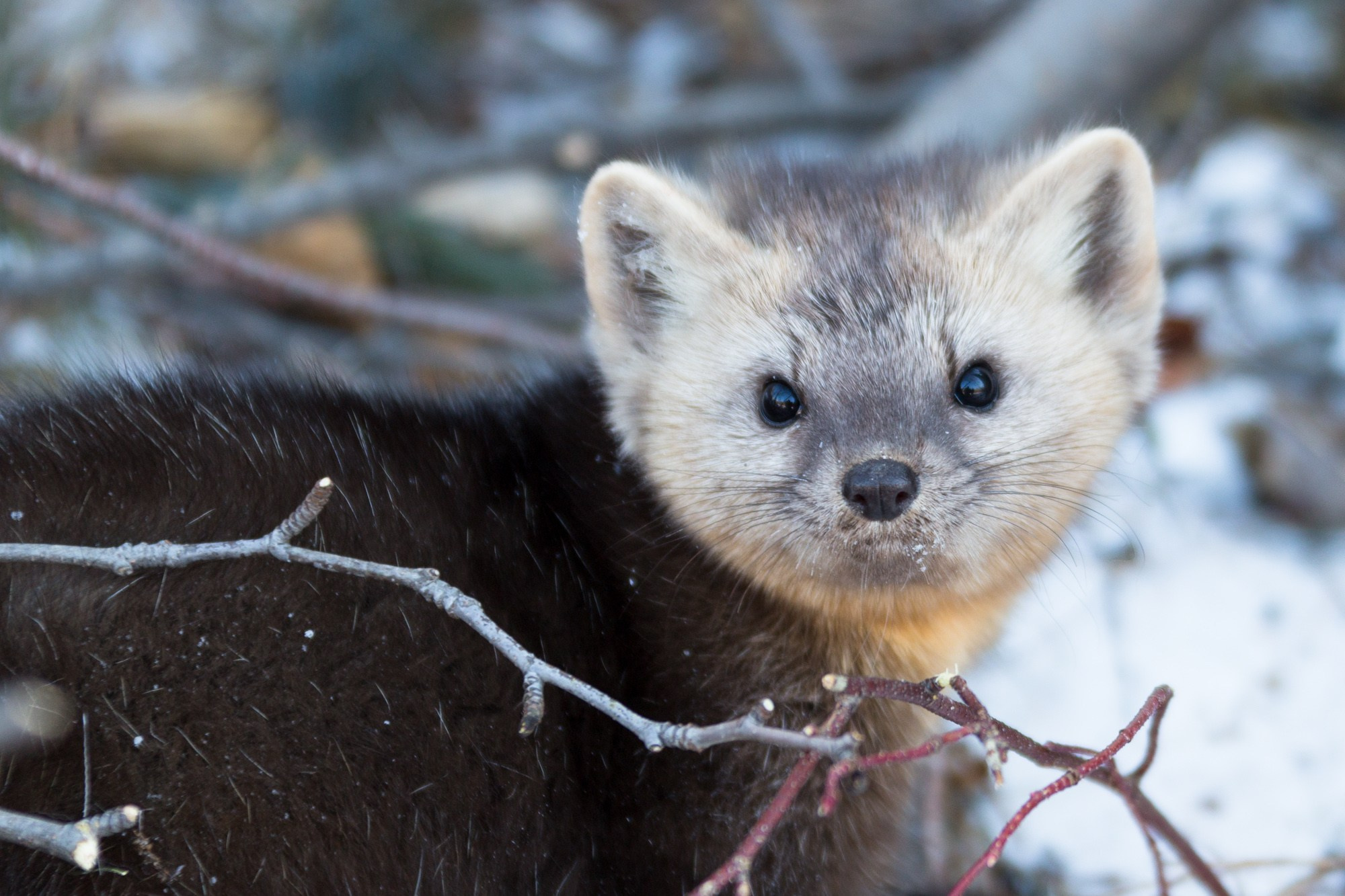 Фотограф Алексей Скоробогатько
