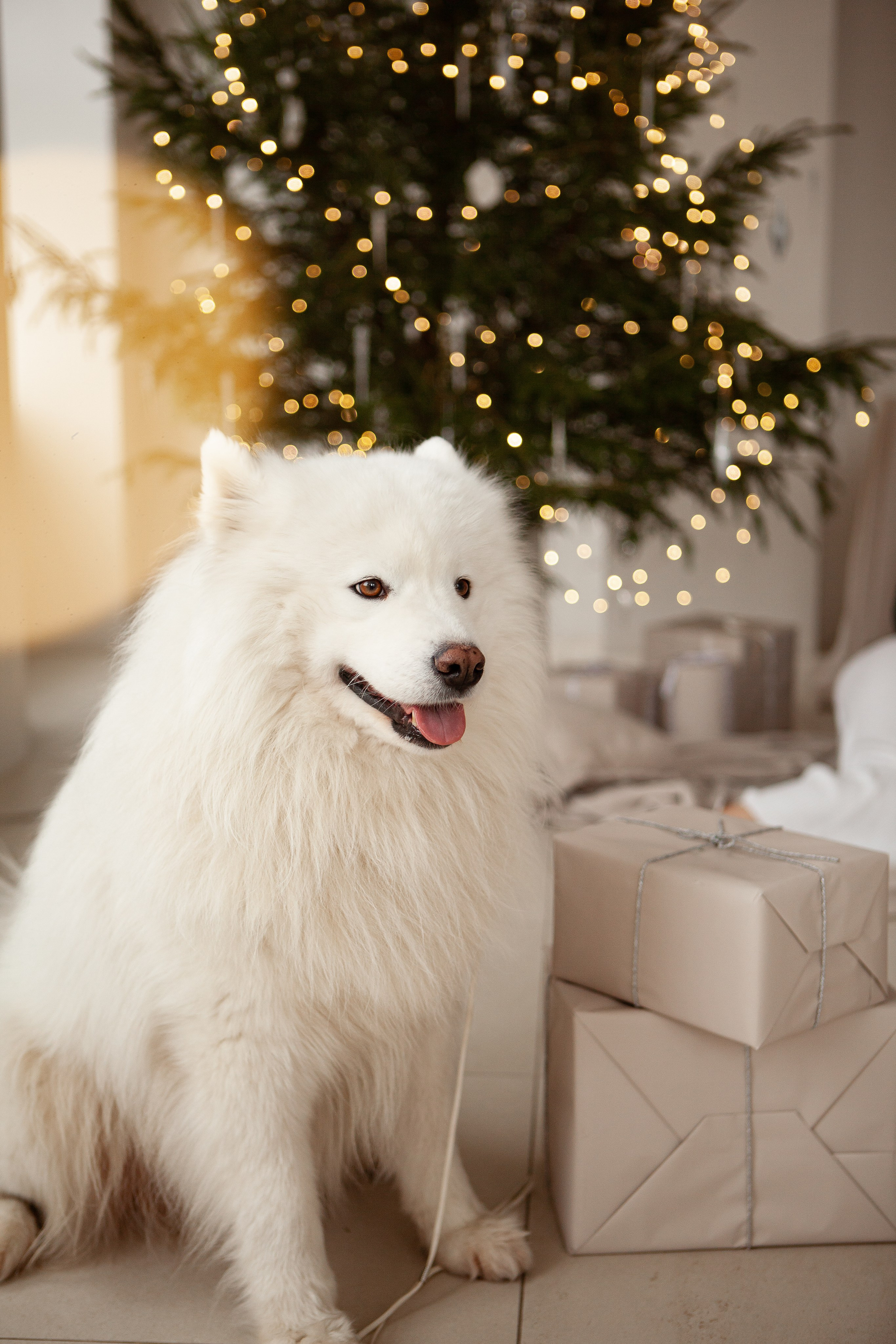 Дарья & Василий. Свадебный фотограф в СПБ | Санкт-Петербурге Анастасия Рахимгулова