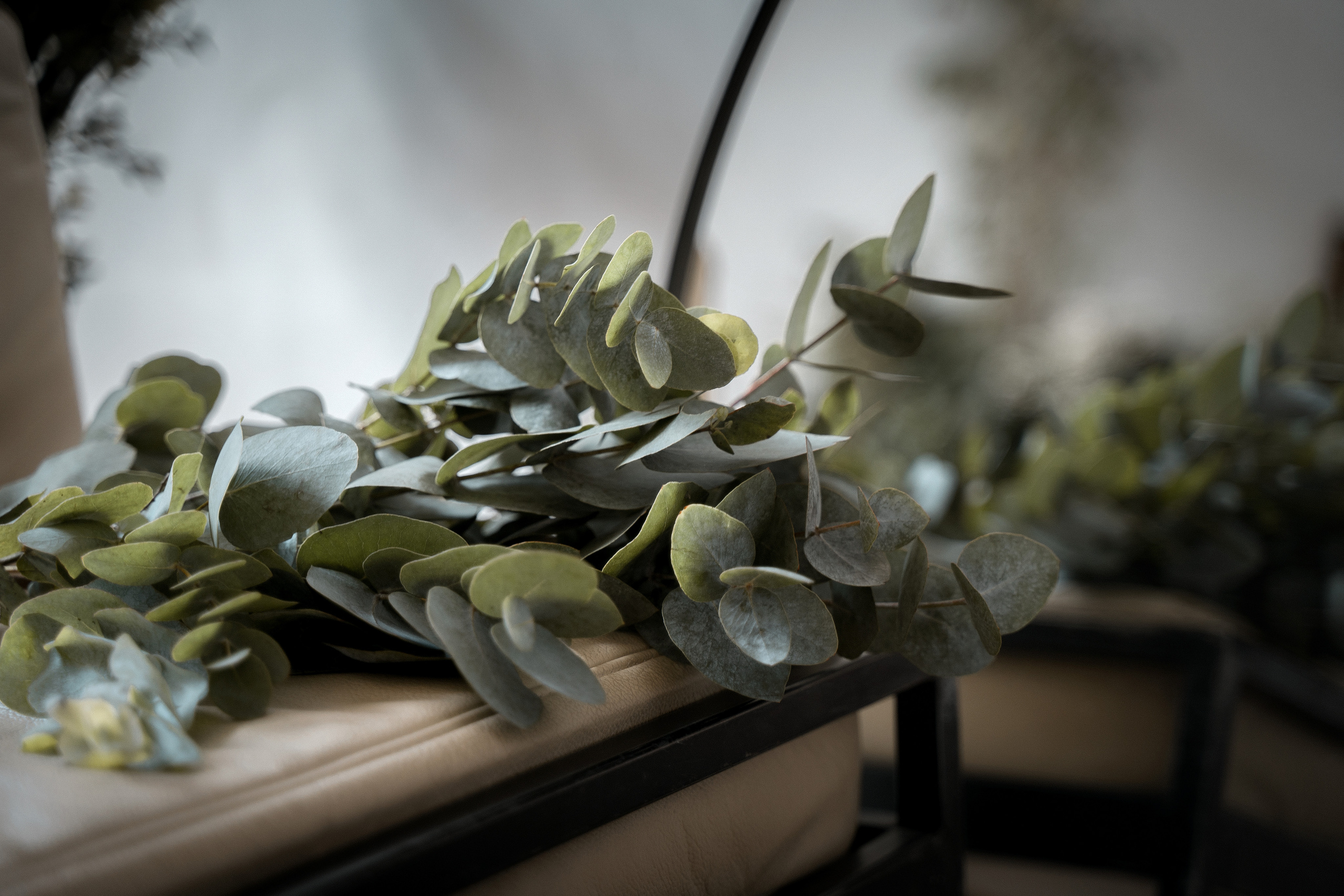 Фотосессия для Анастасии. Фотограф в Москве и МО Александр Тощев