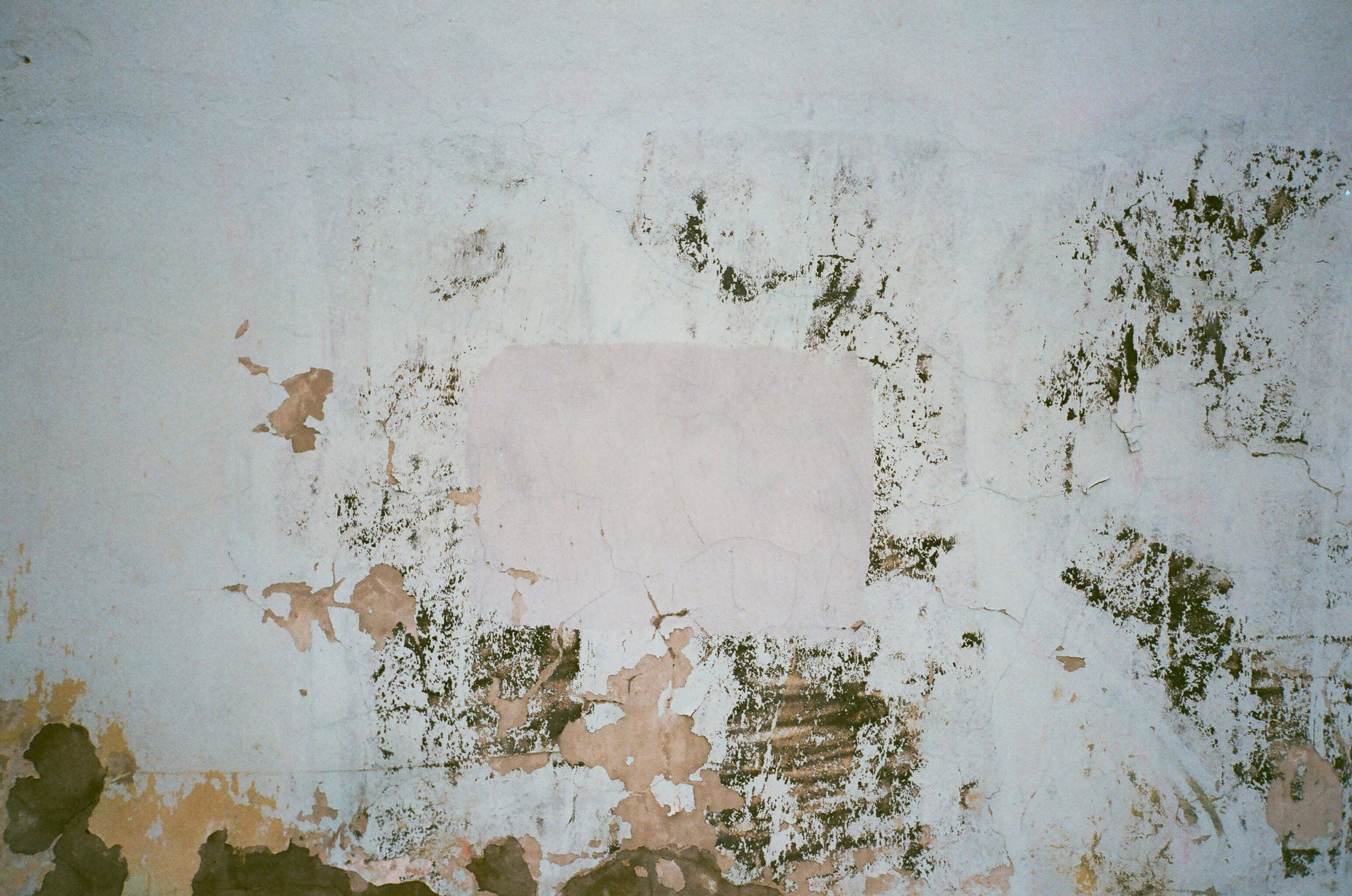 Юлия Ивантай