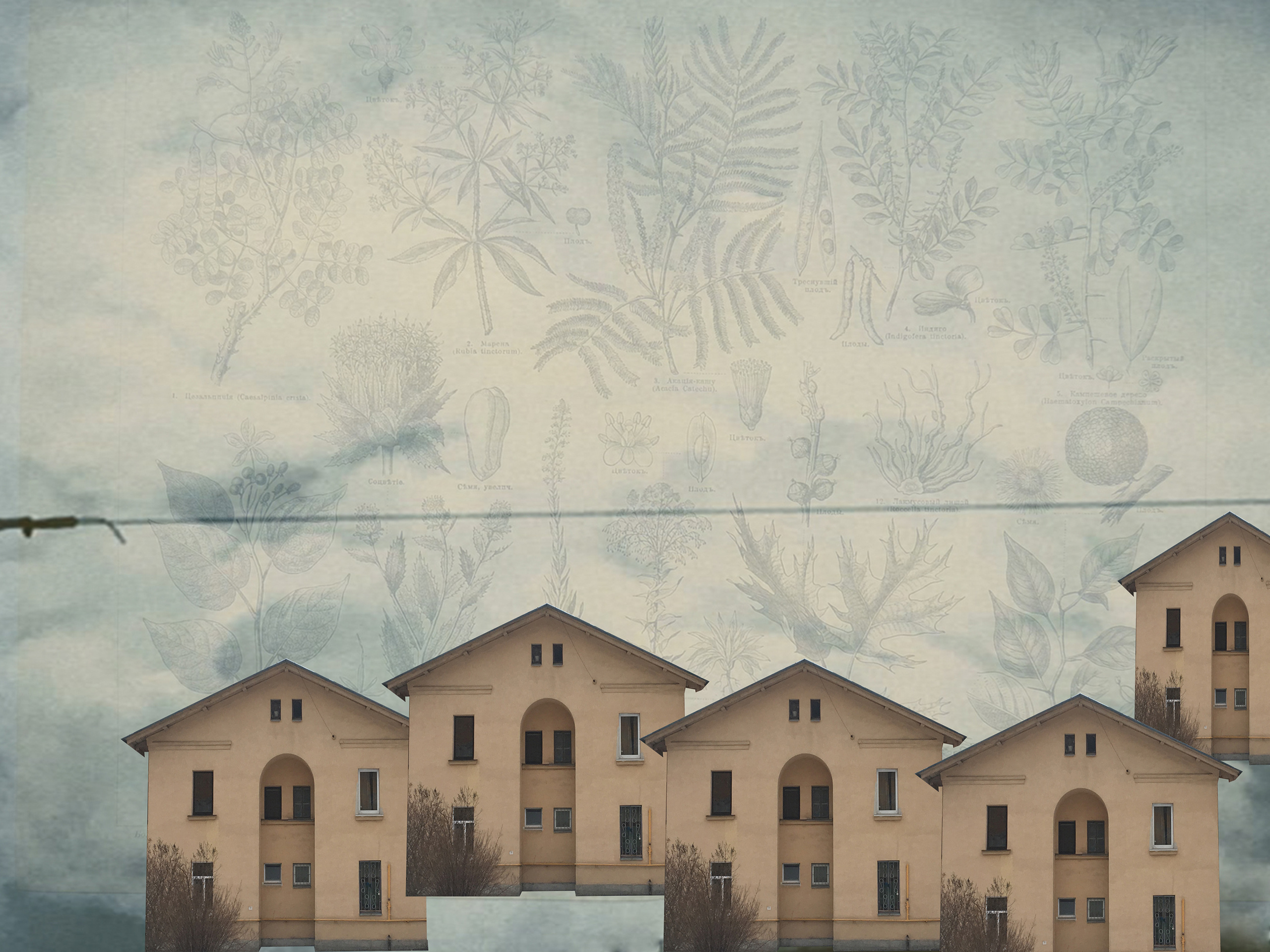 Юлия Ивантай