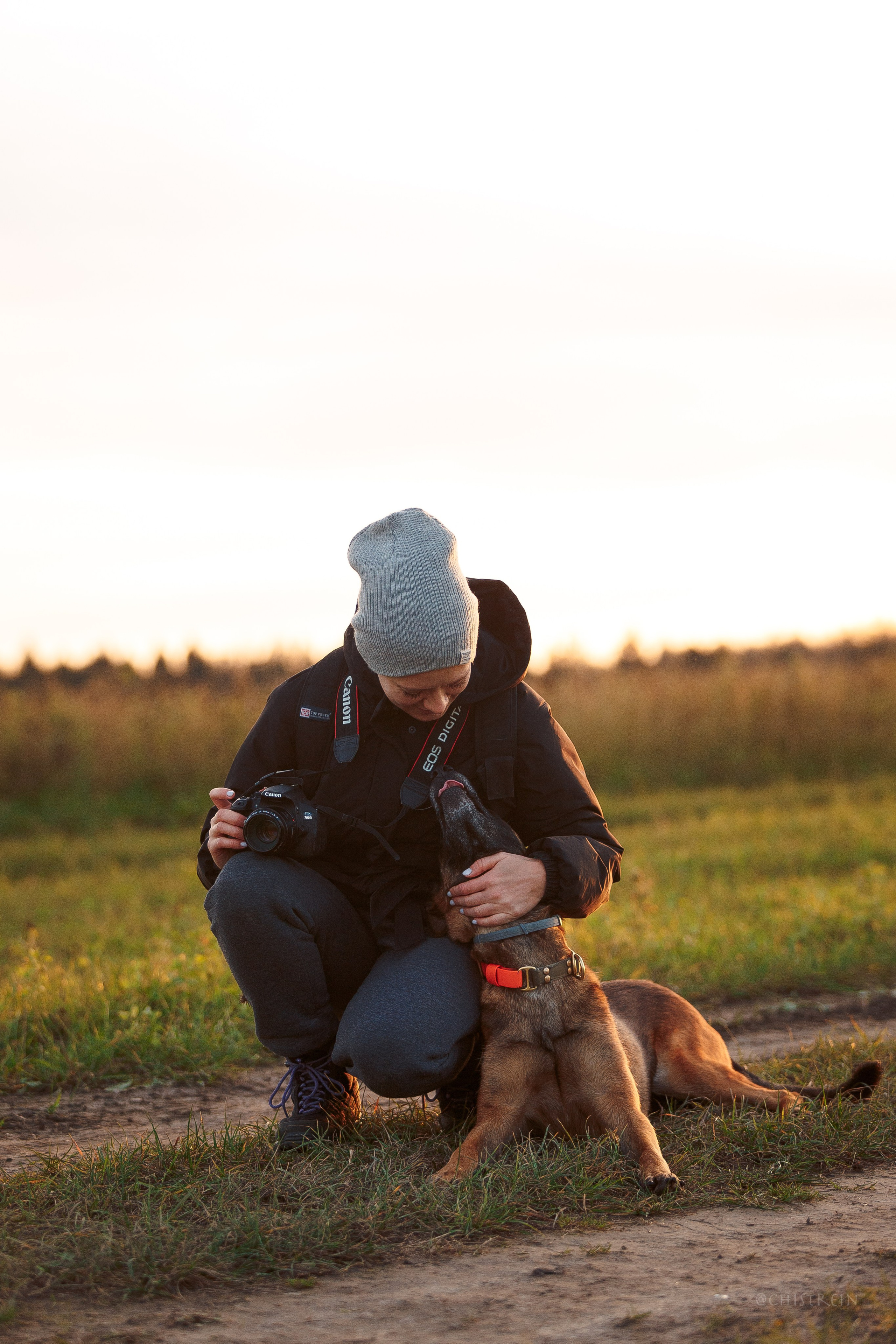 Октябрьский закат в полях. Алина и Лео. Фотограф-анималист Наталия Чистюхина в г. Сосновый Бор и ЛО