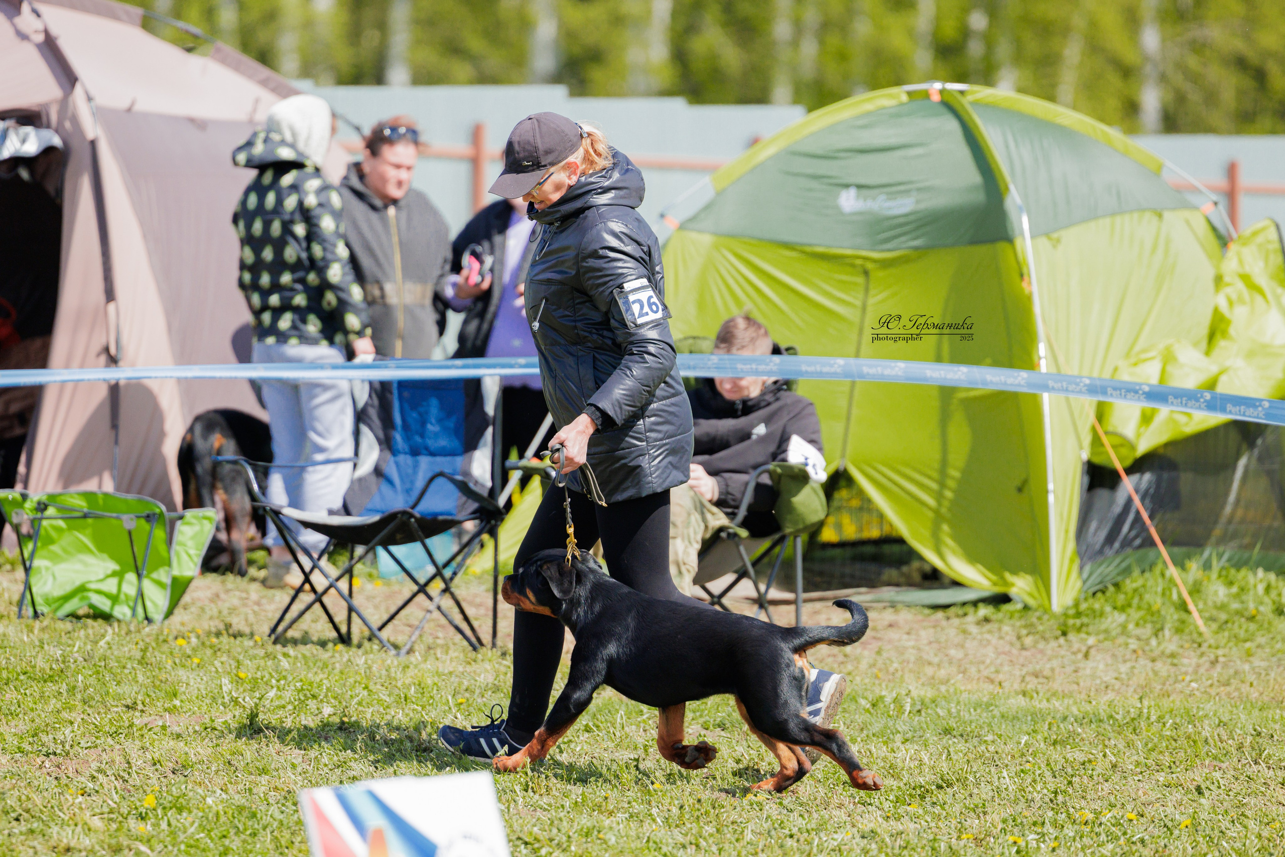 Нижний Новгород 2хмоно ротвейлеров 10-11.05.2025. Фотограф-анималист Юлия Германика