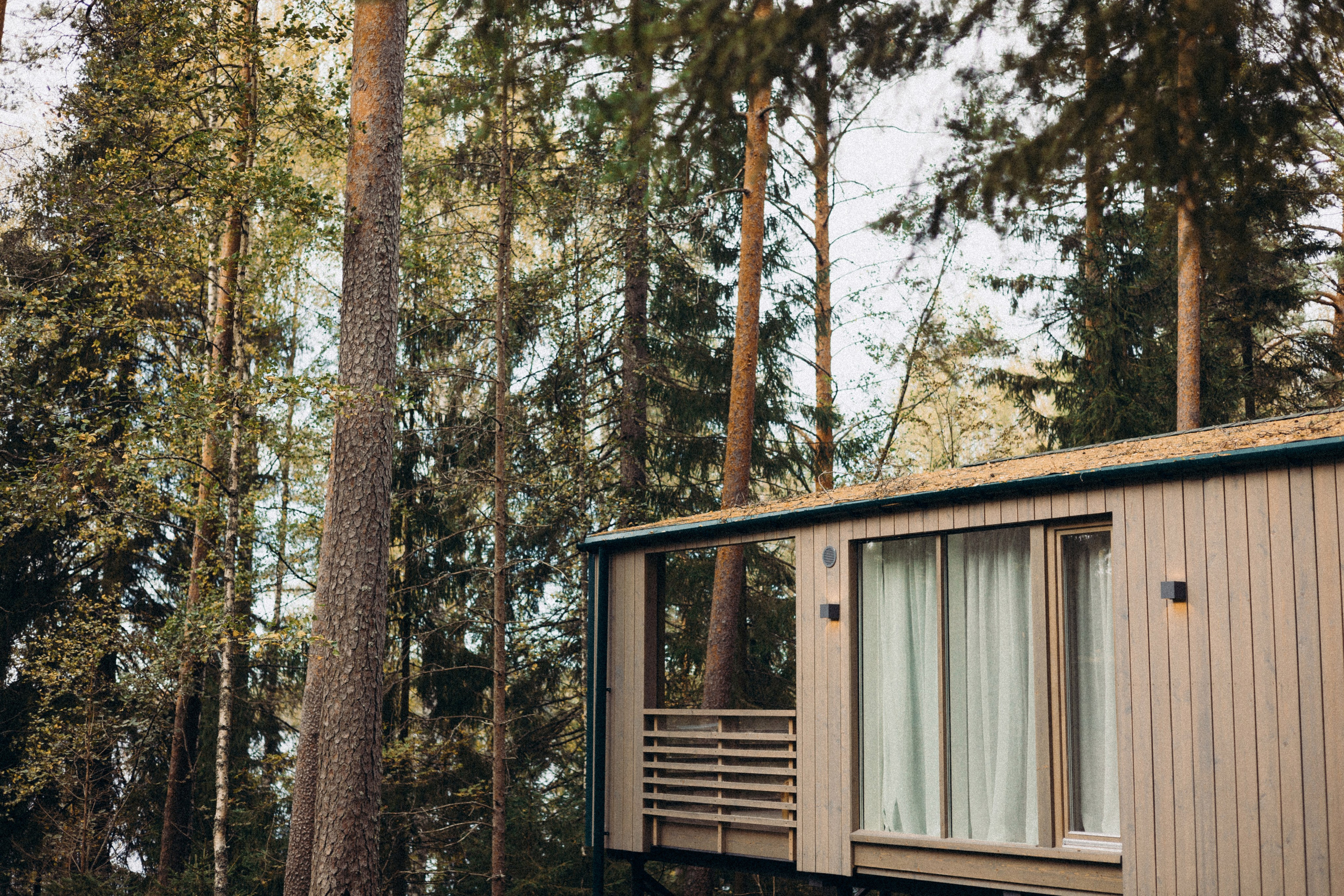 Владислав & Марина. ФОТОГРАФ РОЗА ФИЛИНА СПб I МОСКВА