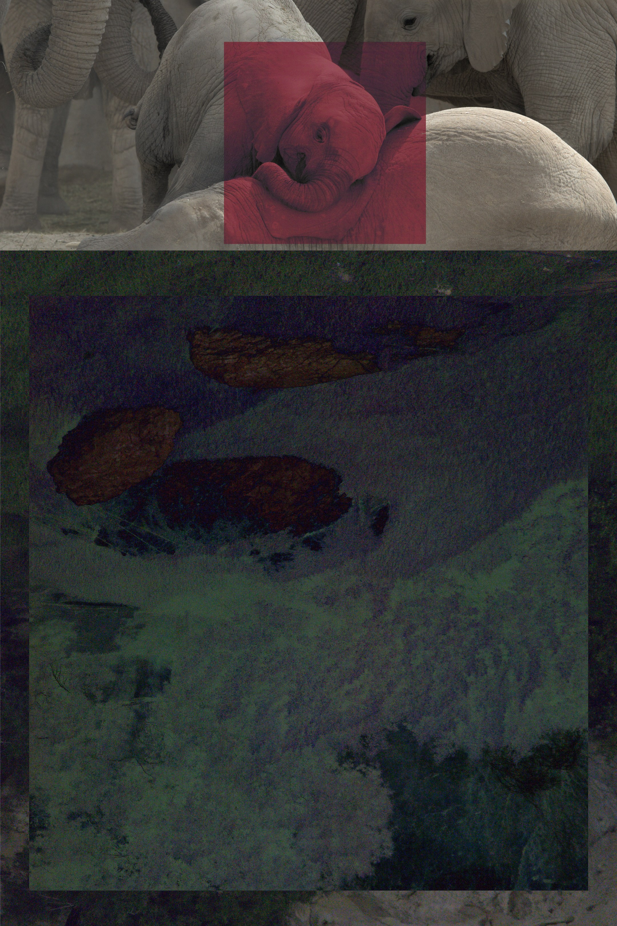 SCAPES. Aleksandr Nariadchikov — Visual Artist & Game Designer